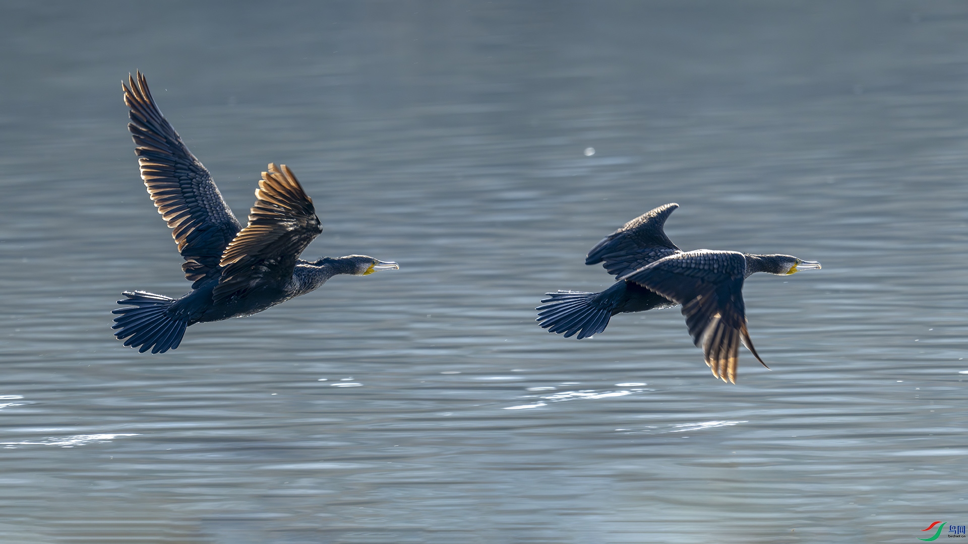 _DSC3319aa1111bb22.jpg