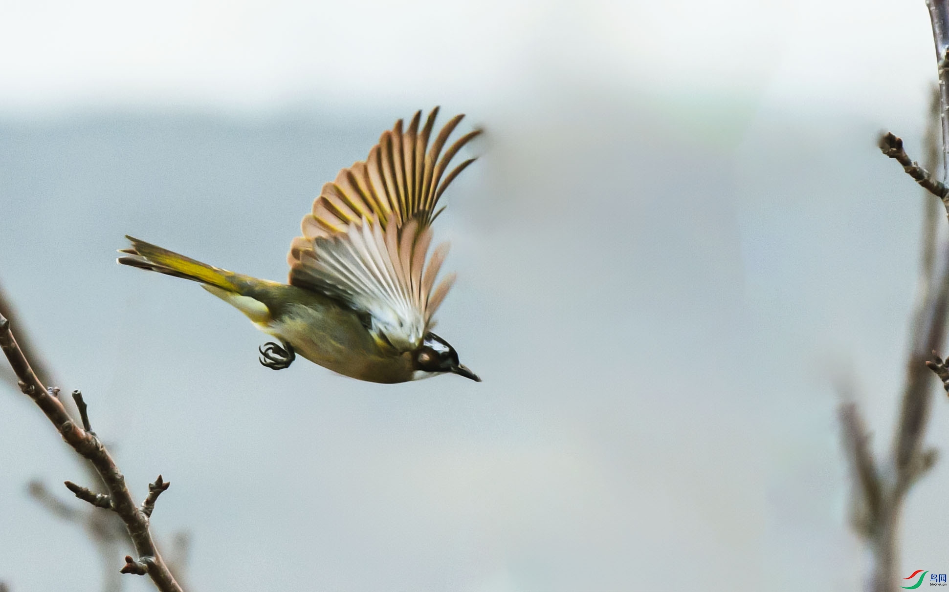 DSC_9348_01 ����.jpg