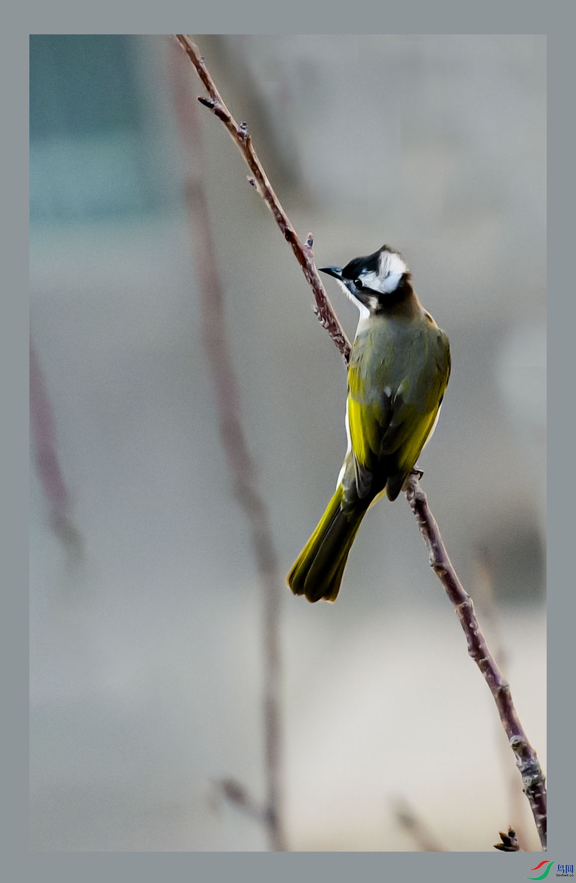 DSC_9365_01 ����.jpg