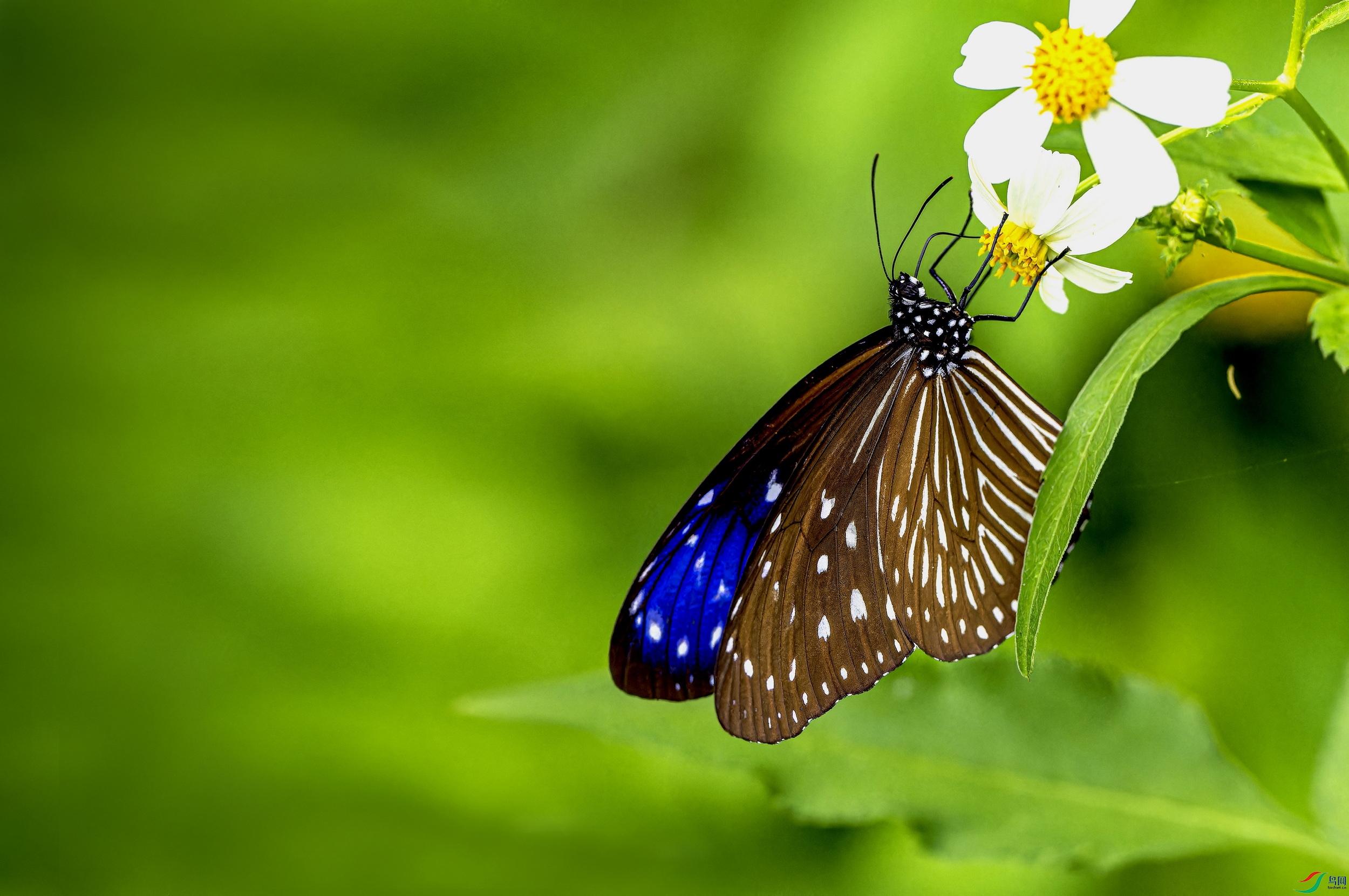 �����ϰߵ� (268)-02.jpg