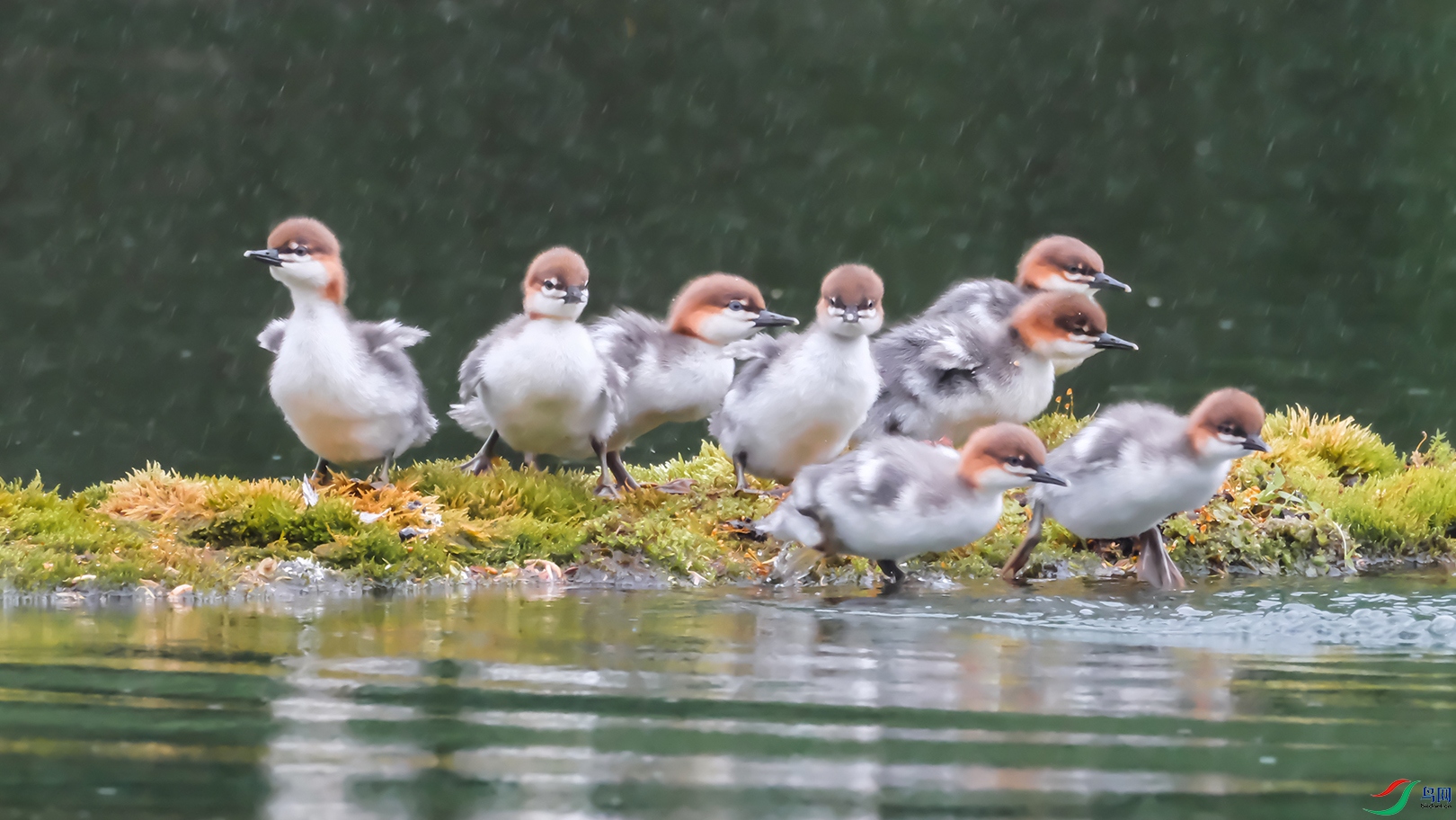 ����������������ȥ��.JPG