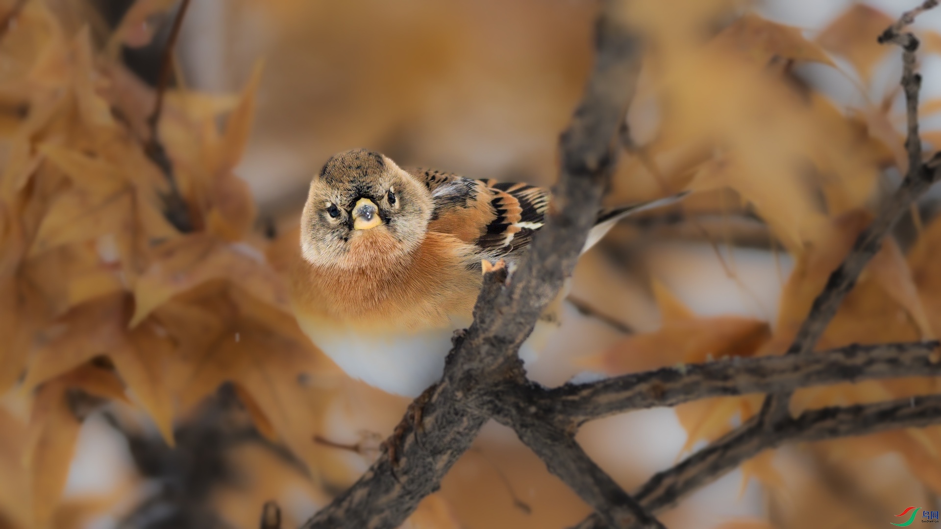 1_DSC8342 ����.jpeg