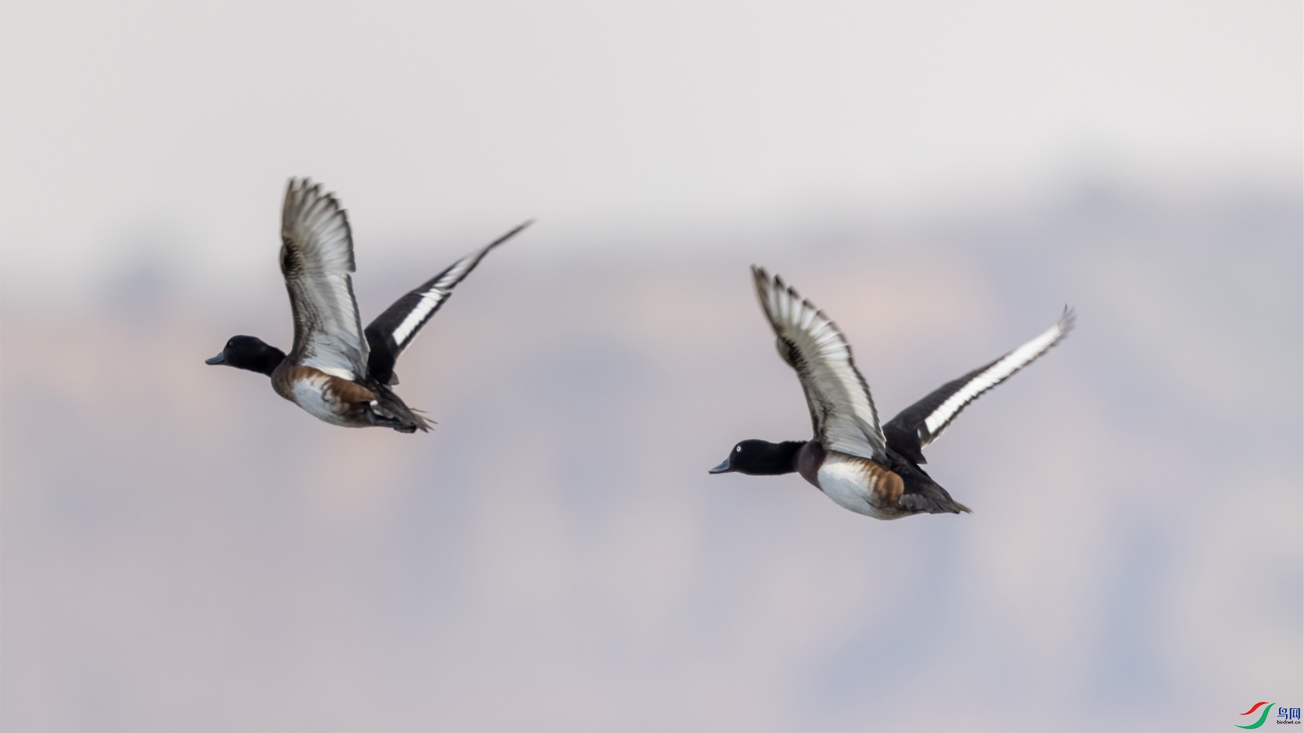 ��ͷǱѼ OK ����.jpg