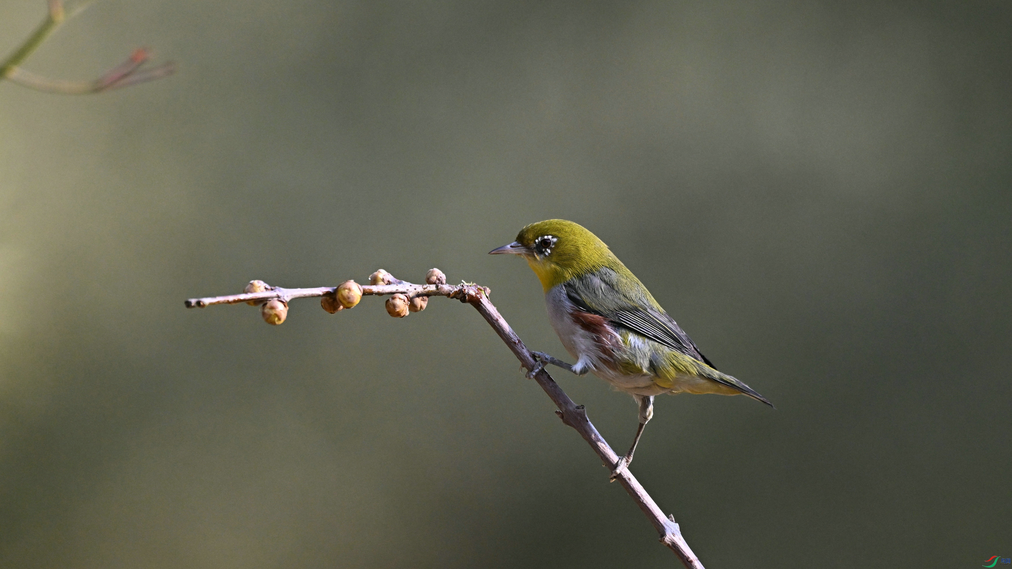DSC_1231.JPG