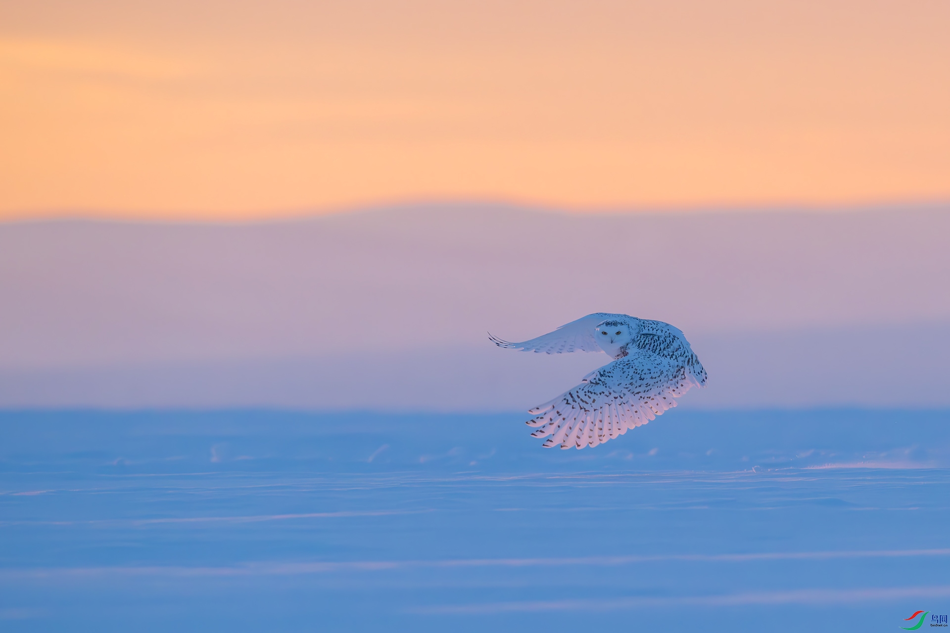 _DSC7300.jpg