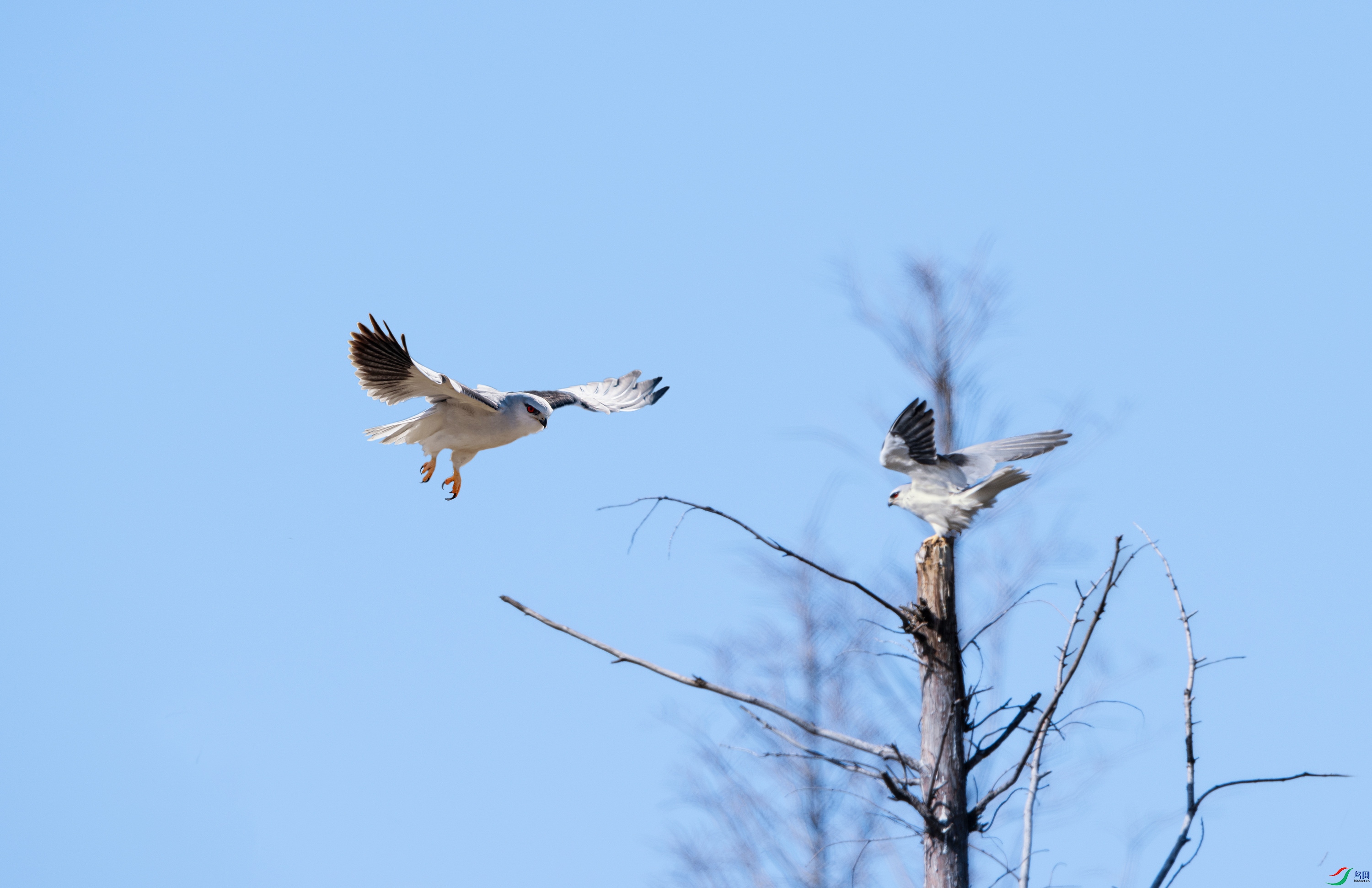 DSC_5631.jpg