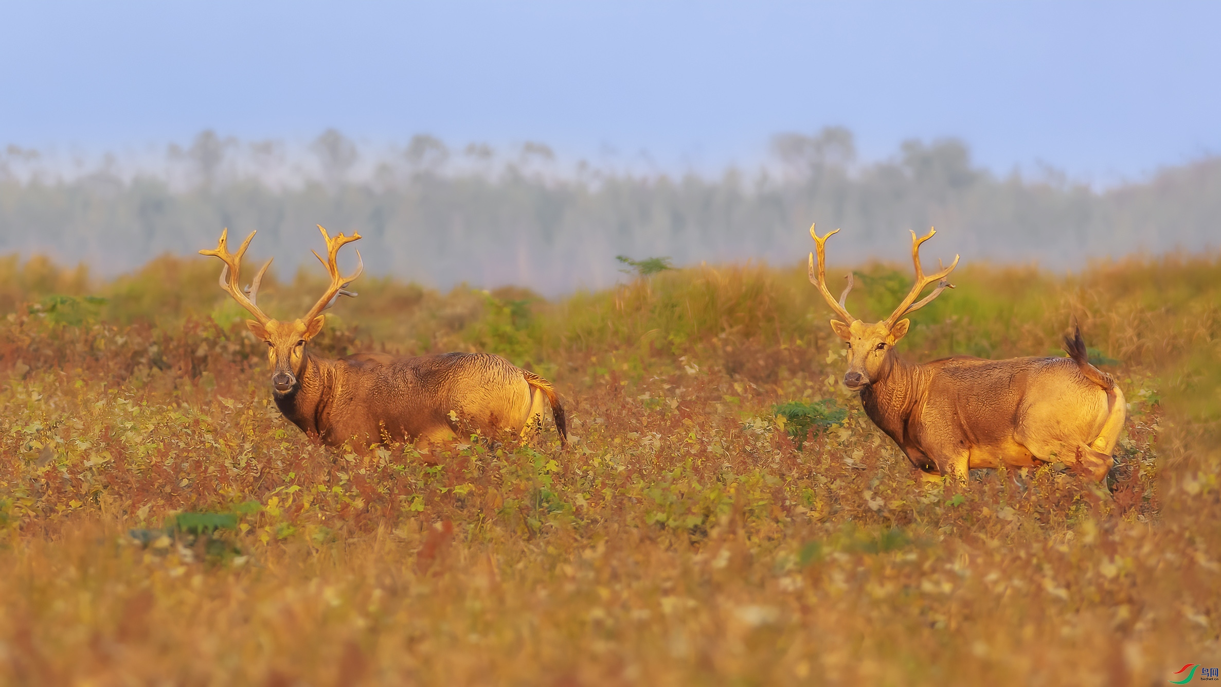 G81A9814 ����.jpg