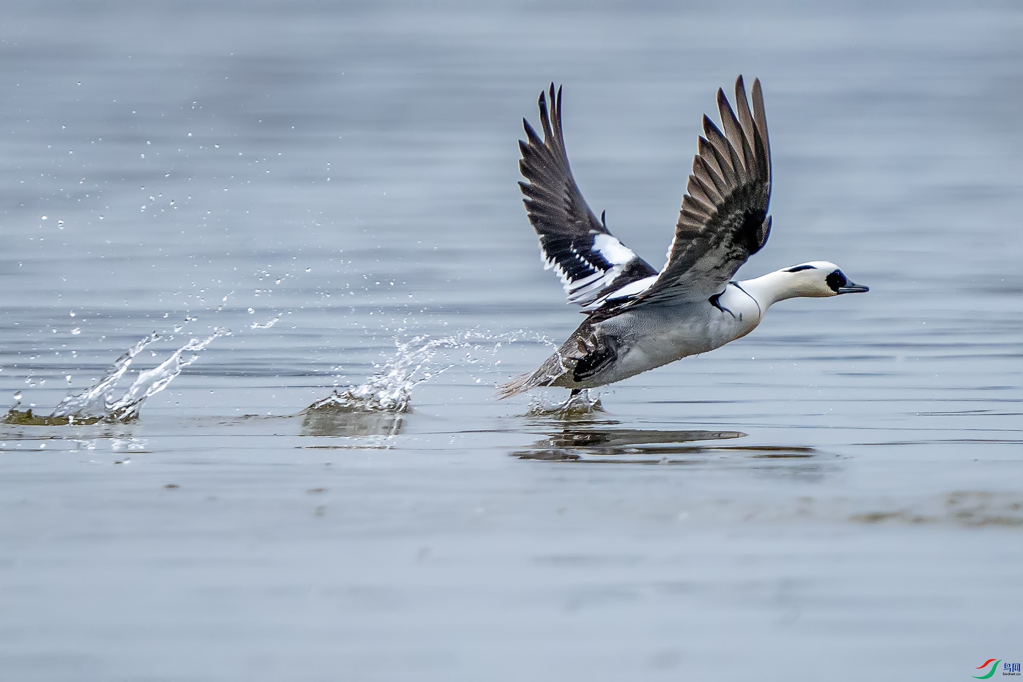 DSC04469 ����a ����222.jpg