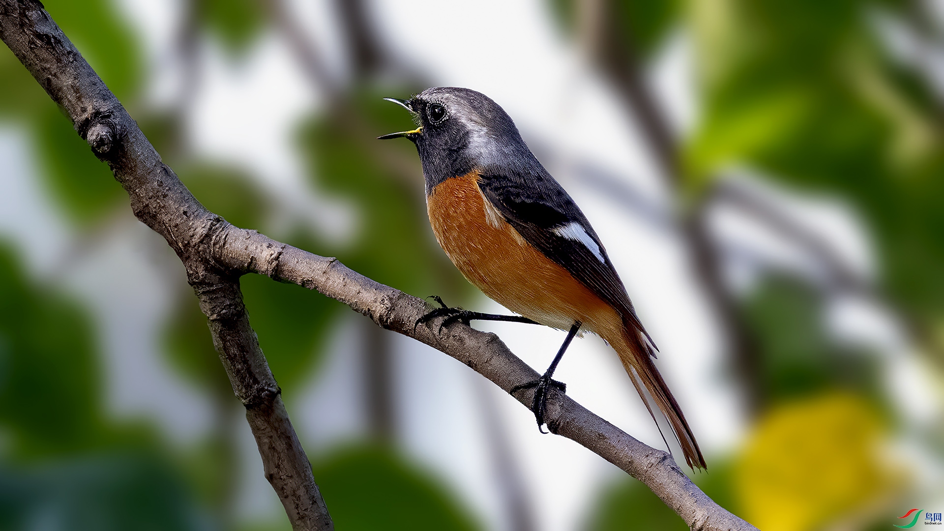 DSC_4988-.jpg