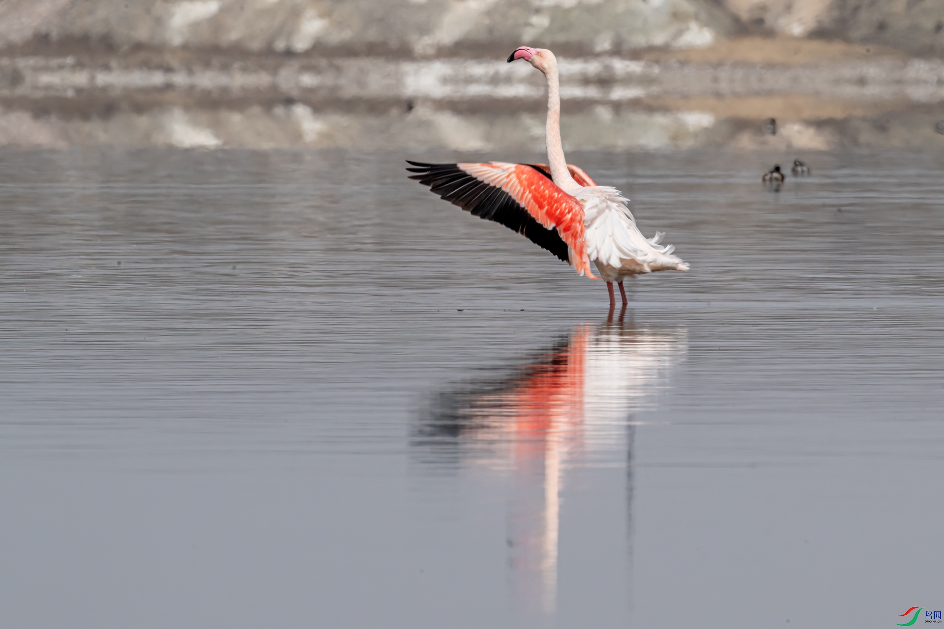 DSC_3605-11.jpg