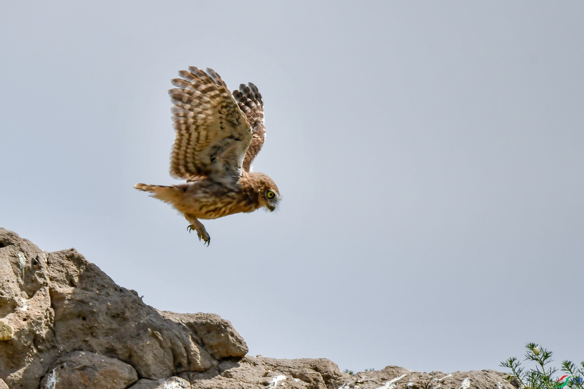 _DSC5409_����.jpg