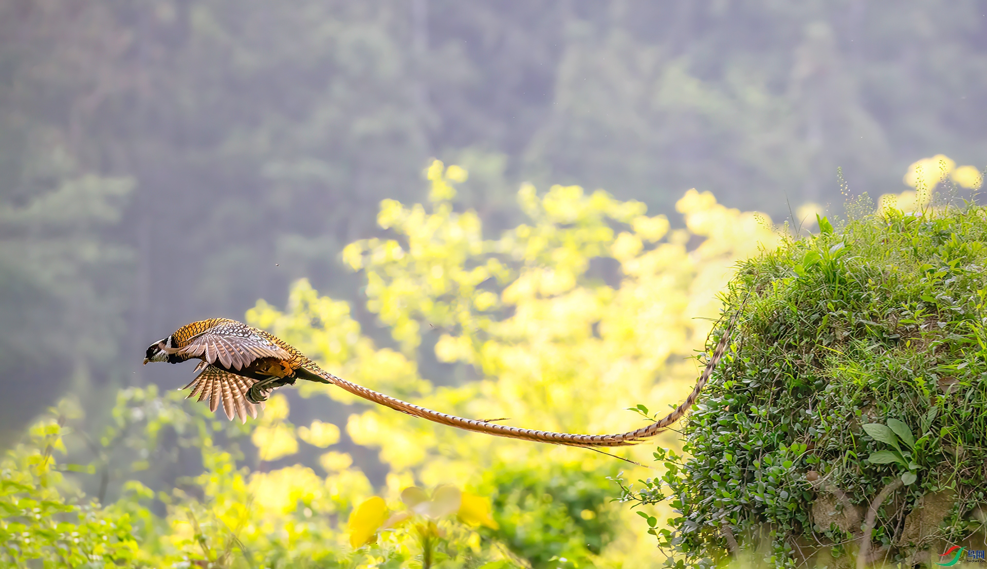 407A0916 ����-Sh----1 .jpg