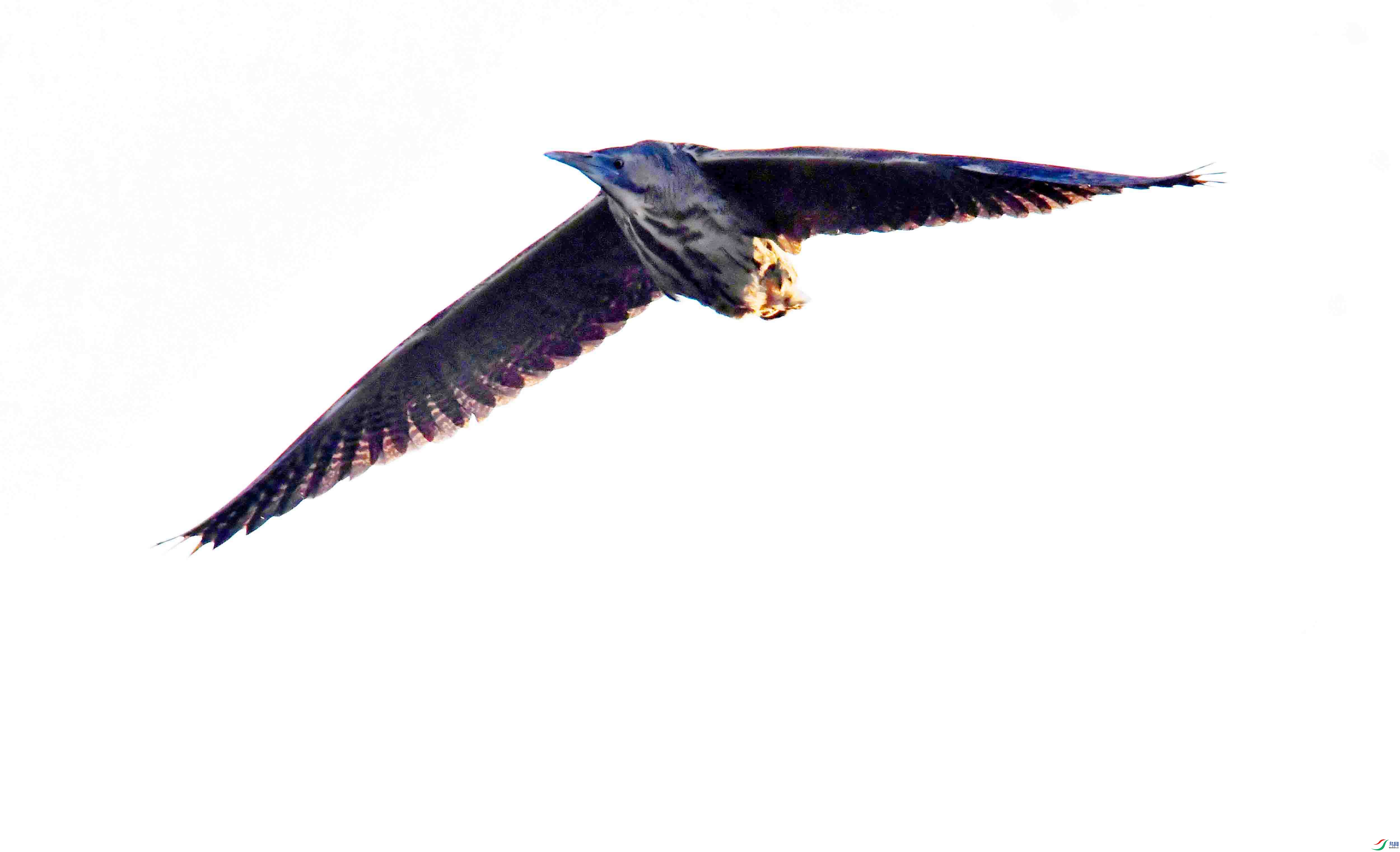 DSC_7225.JPG