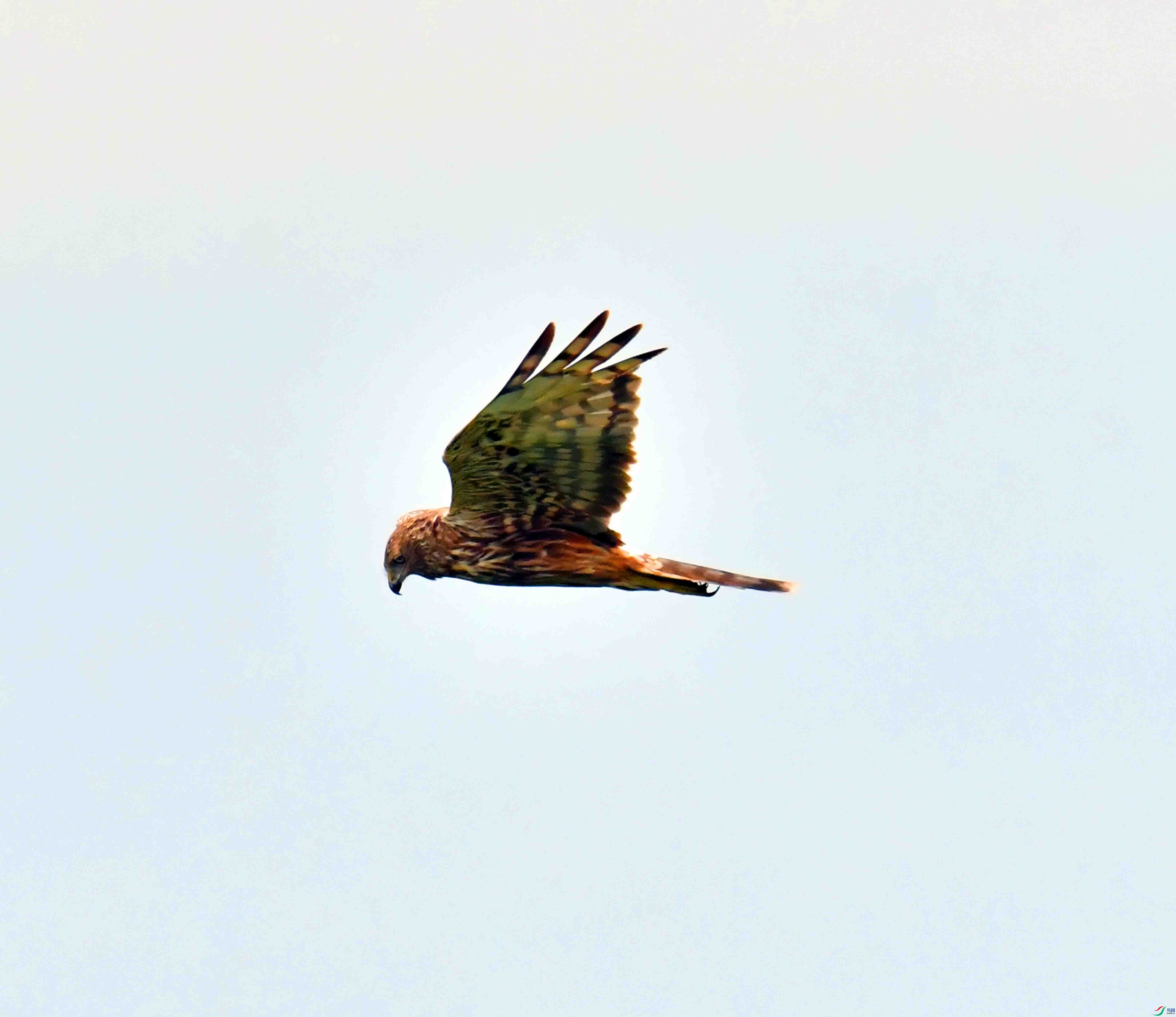 DSC_8070.JPG