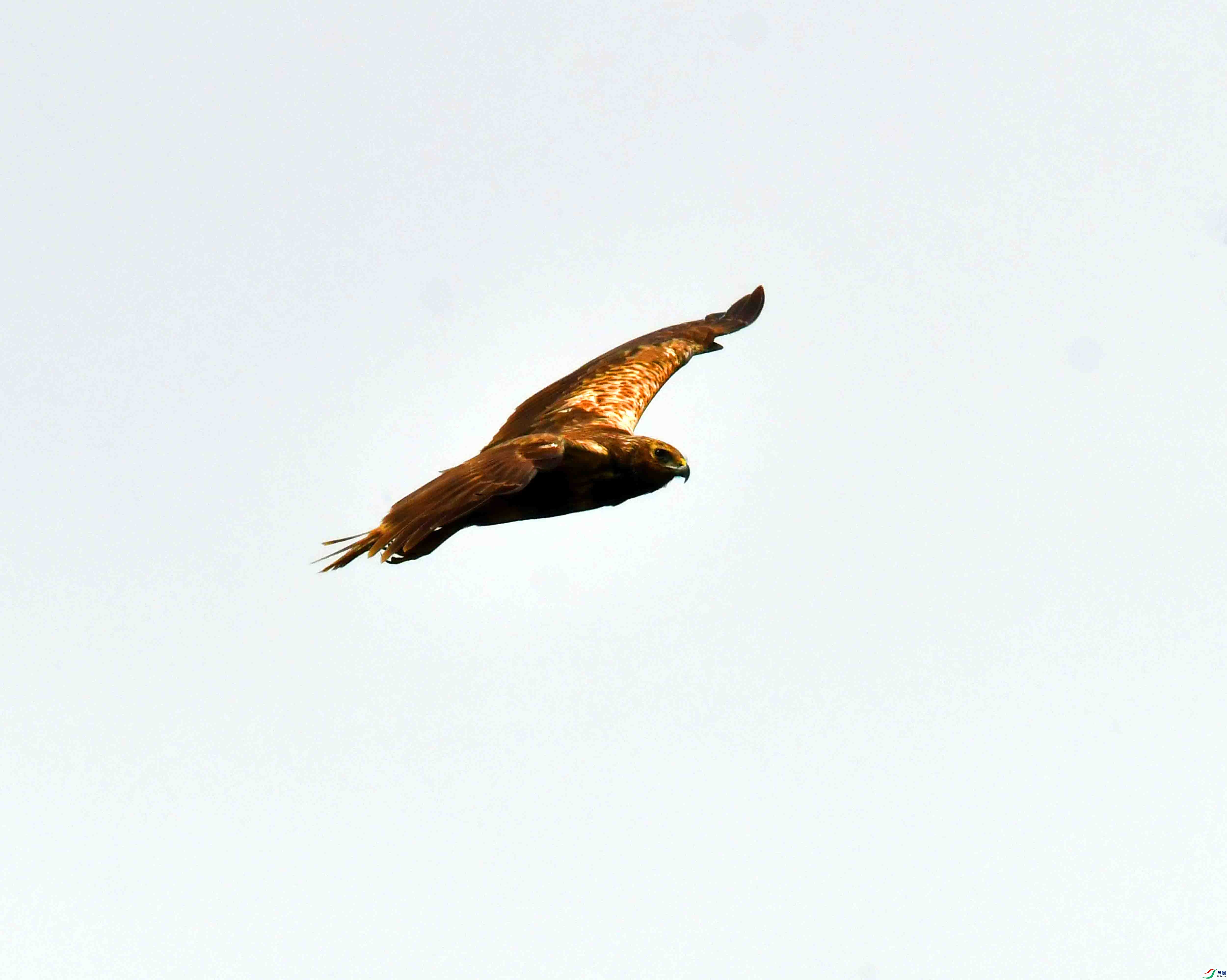 DSC_9994.JPG