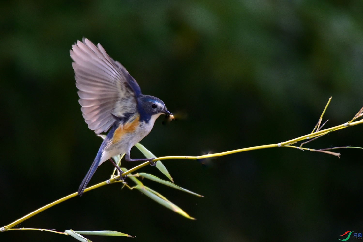 DSC_8066.JPG