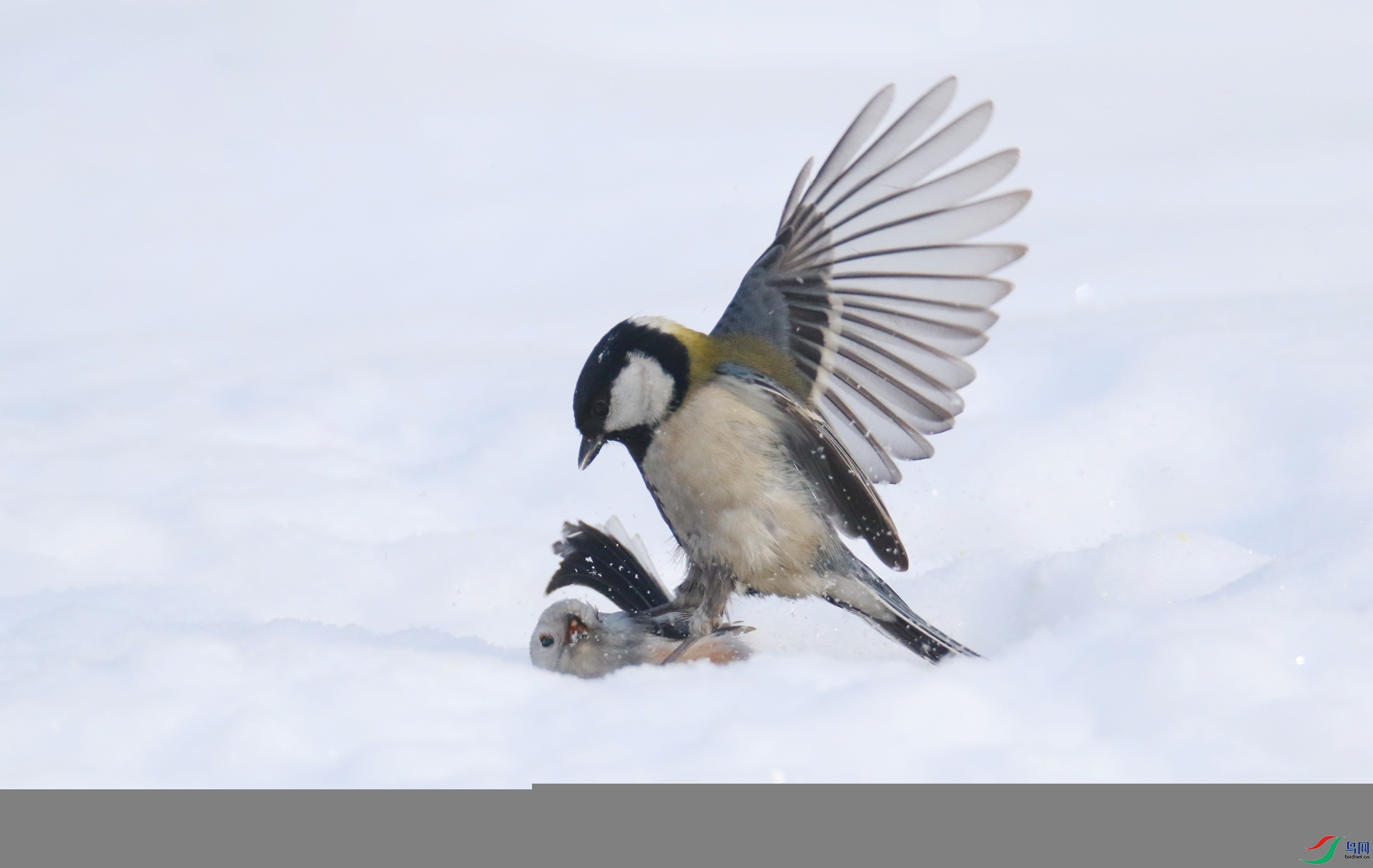 0G1A0503 ����.jpg