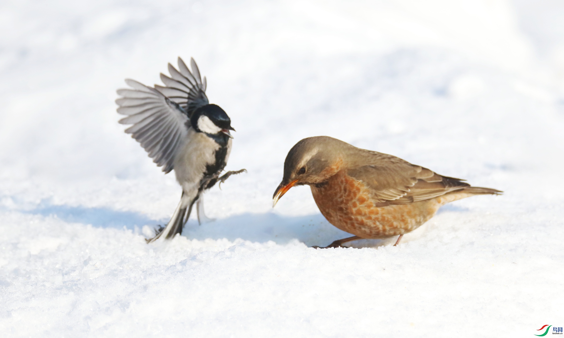 0G1A5743 ����.jpg