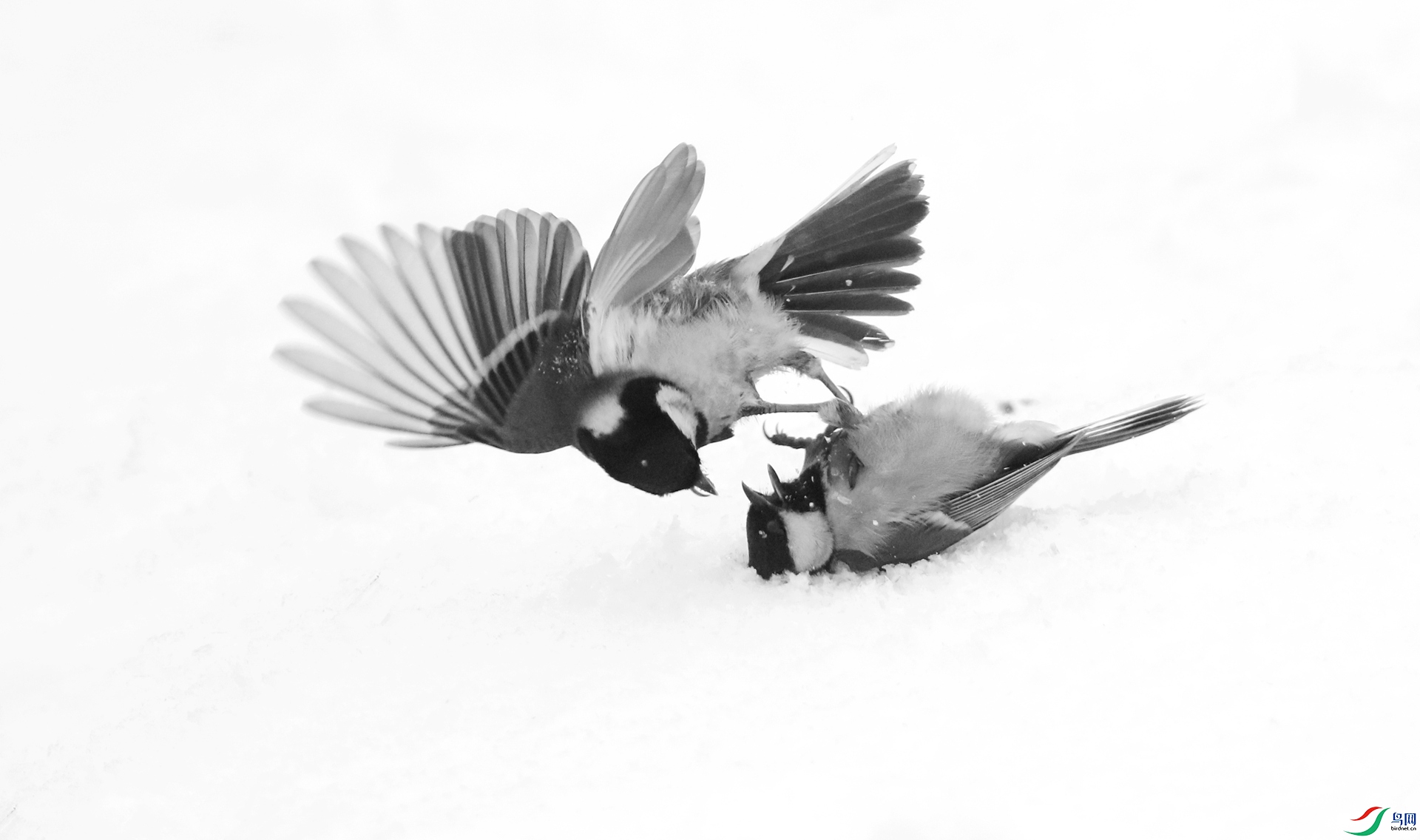 0G1A6660 ����.jpg