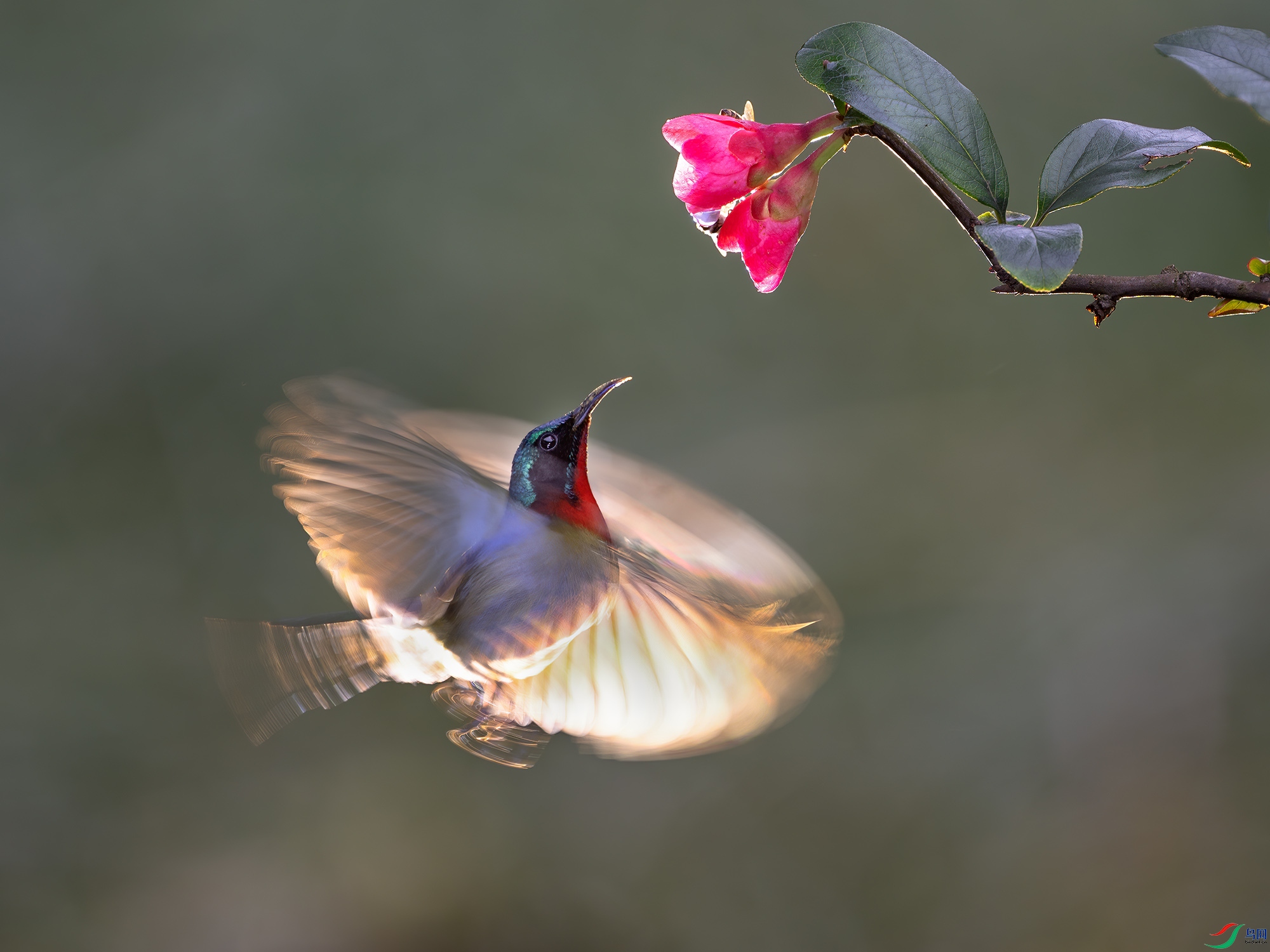 DSC_4103 ����.jpg