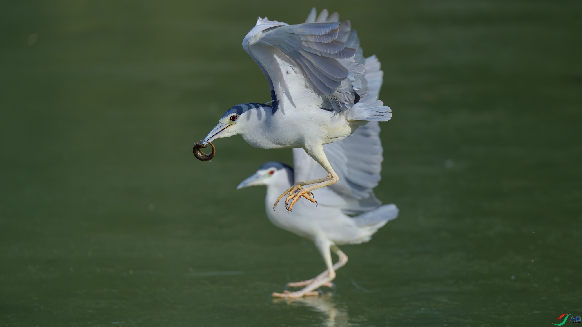 DSC00342��Ӱ��ӳ ����.jpg