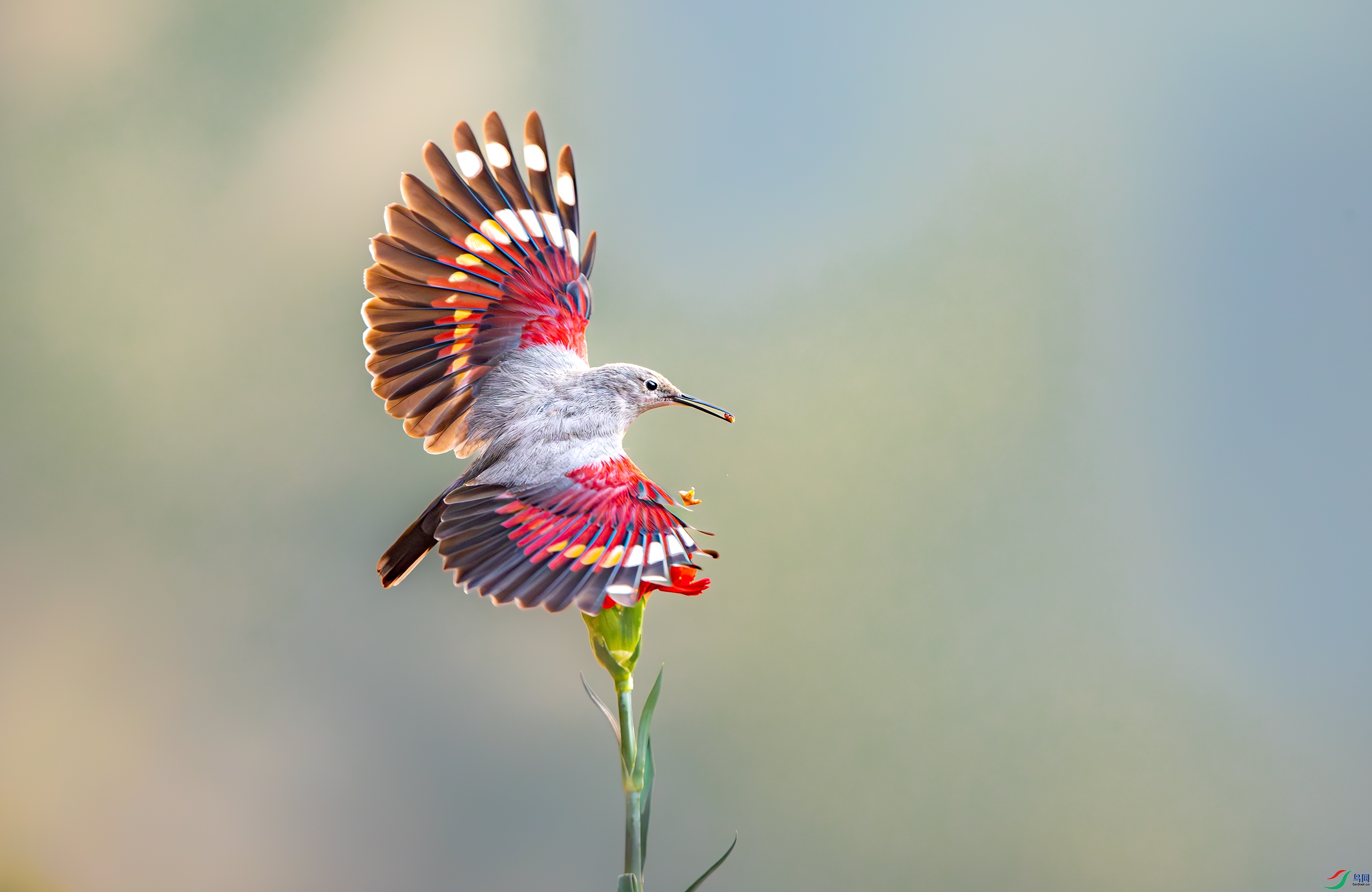 A15I0495-��-R ����.jpg