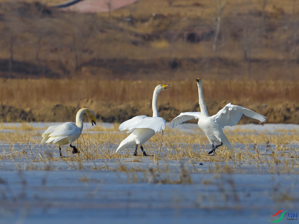 6R6A8365.jpg