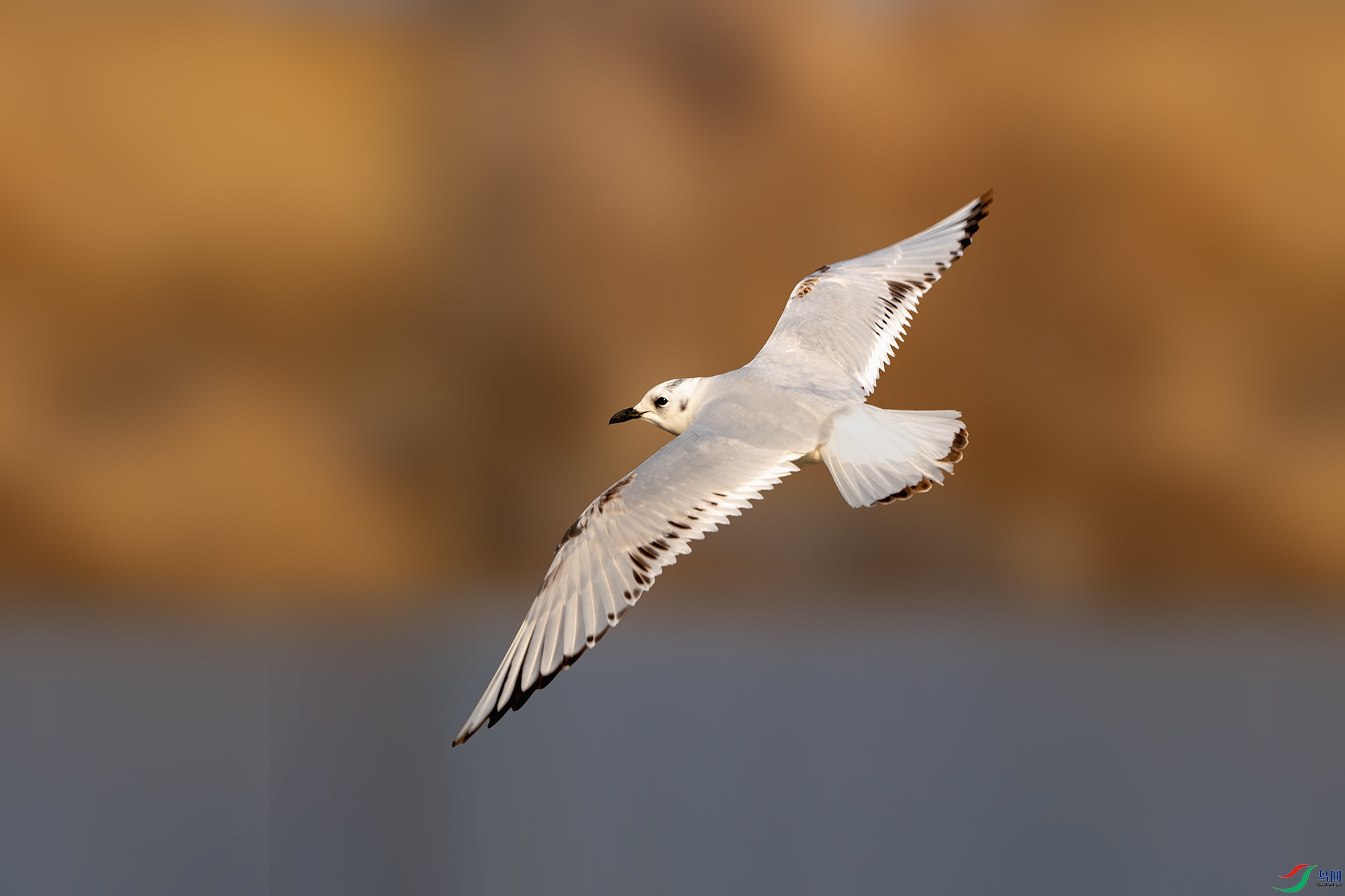 _DSC1250-����ǿ-NR ����С.jpg