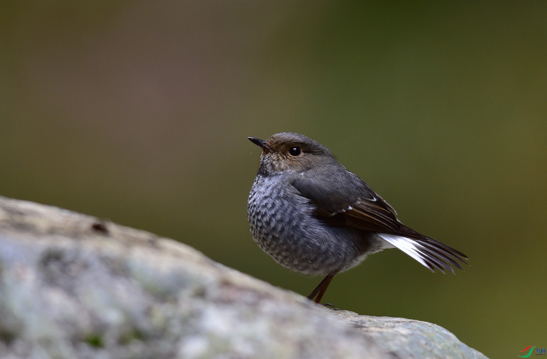 D8I_0970.jpg