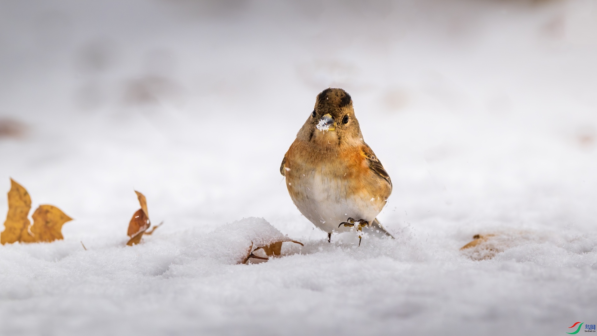 1_DSC5590-����ǿ-NR ����.jpeg