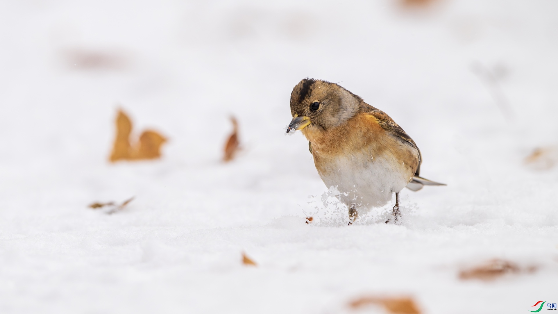 1_DSC5606-����ǿ-NR ����.jpeg