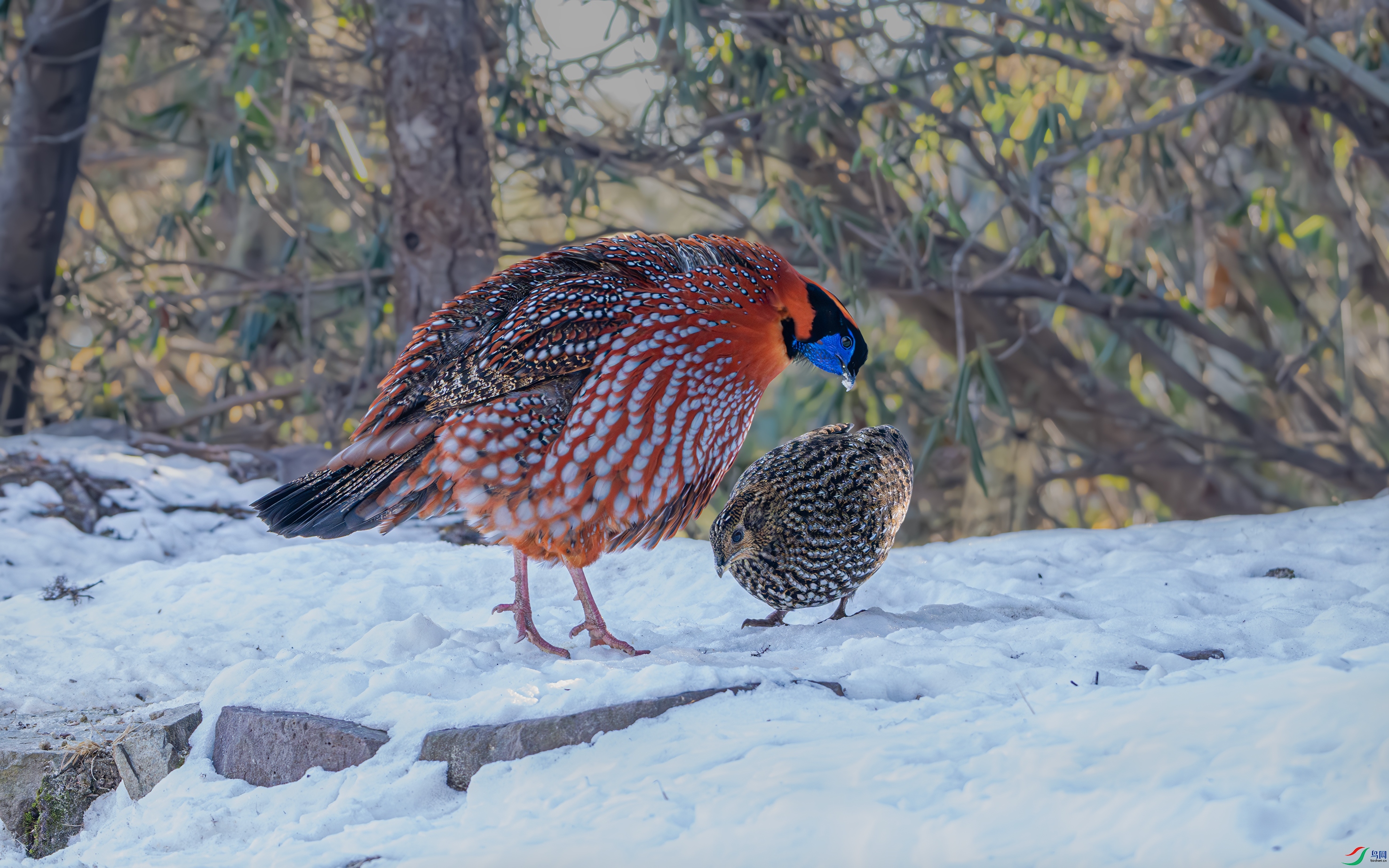 DSC_7469.jpg