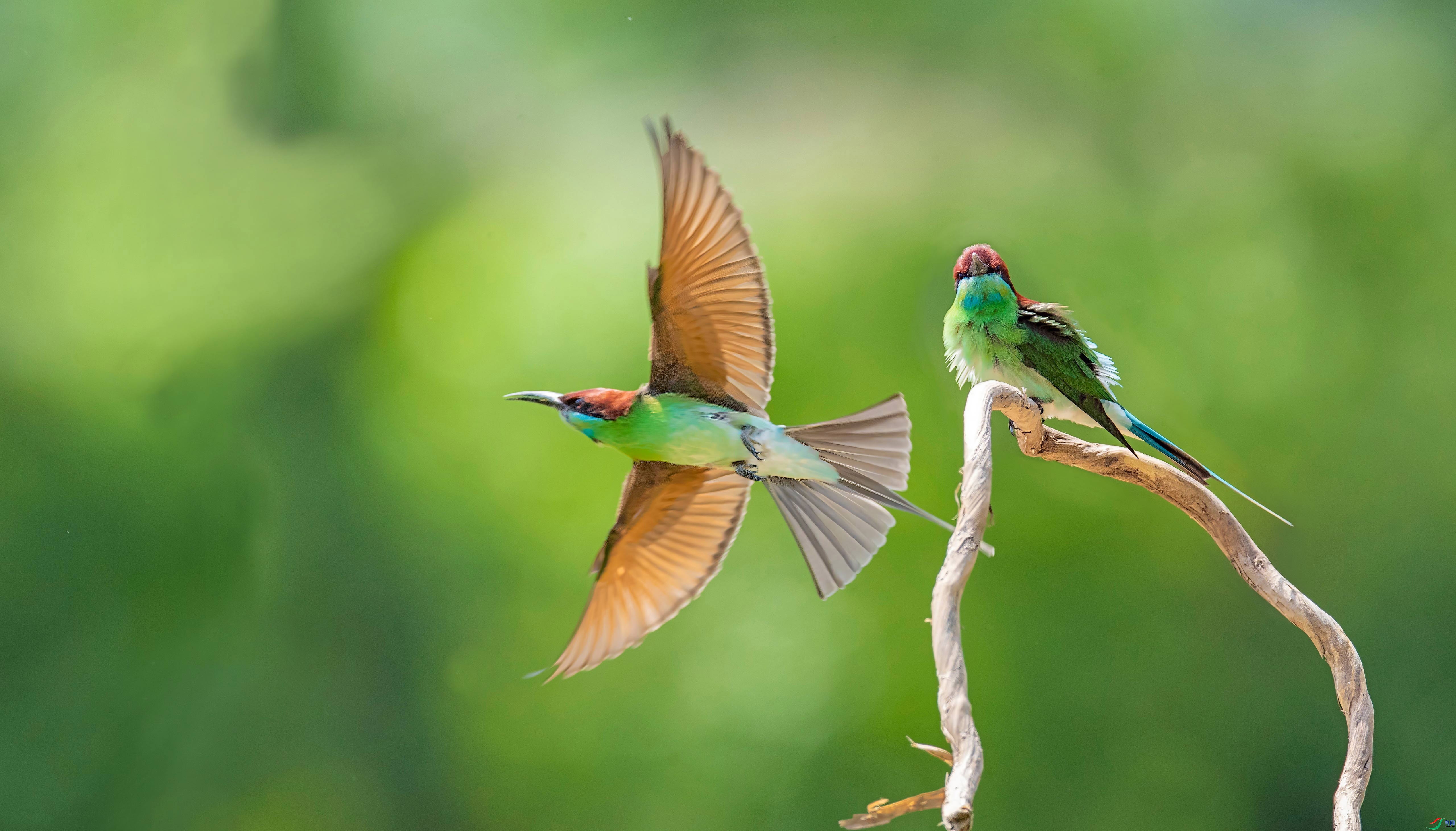 2.10��������ʦ��Ʒ   ���� ��ף���ٻ����Ѿ�����.jpg