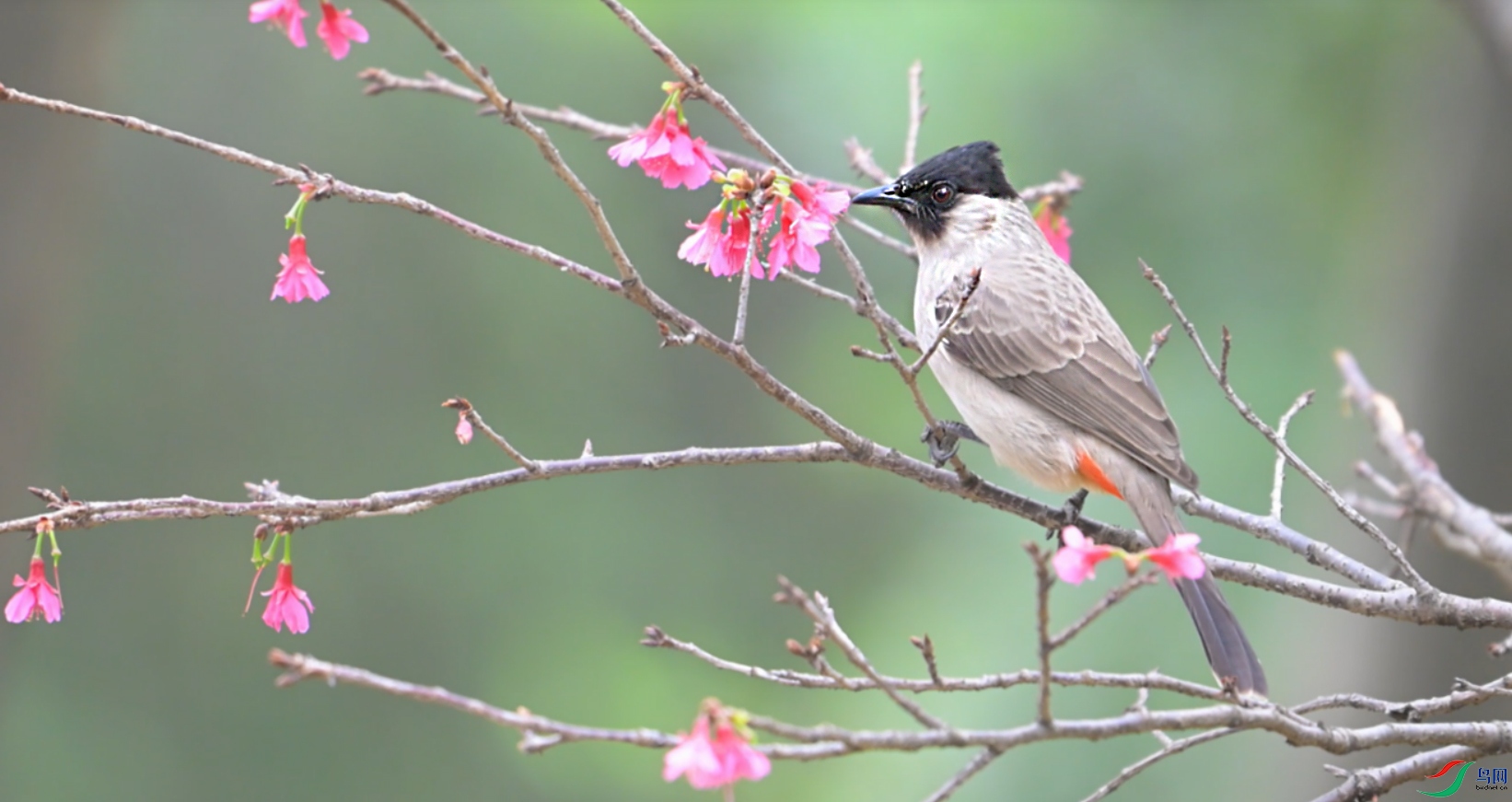 {8FAD98A8-5977-4E77-A60E-ADE892F07BF8} ����.jpg