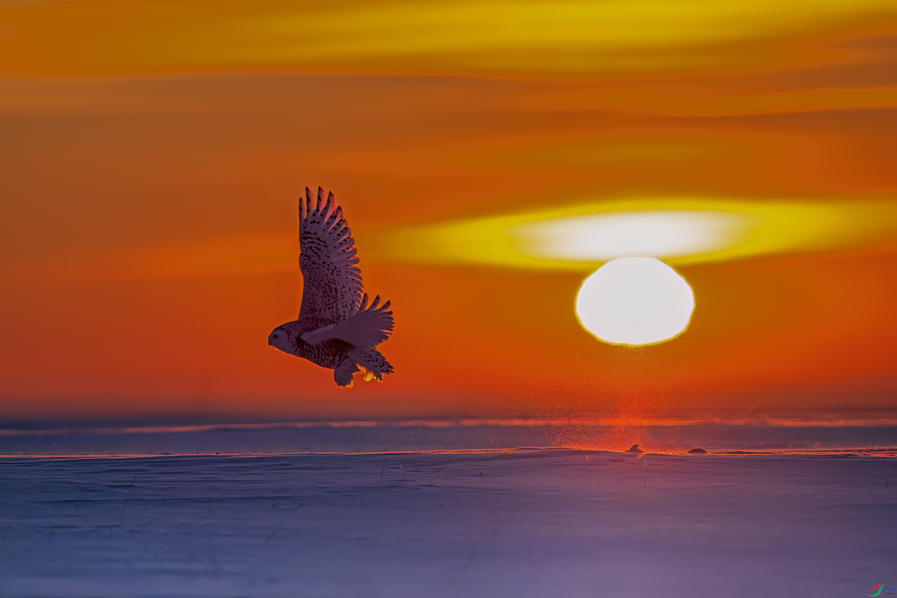 DSC_5017.jpg