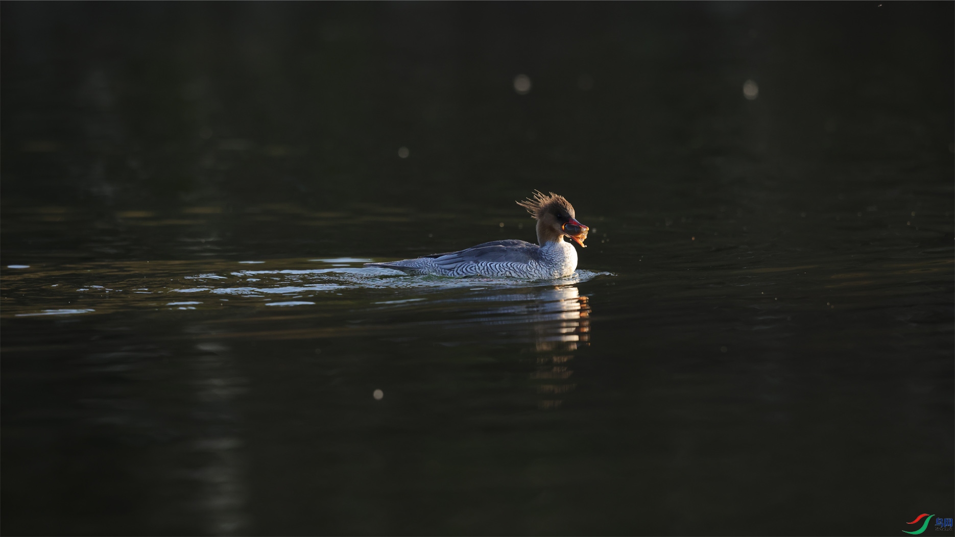 69�л���ɳѼ ����.jpg