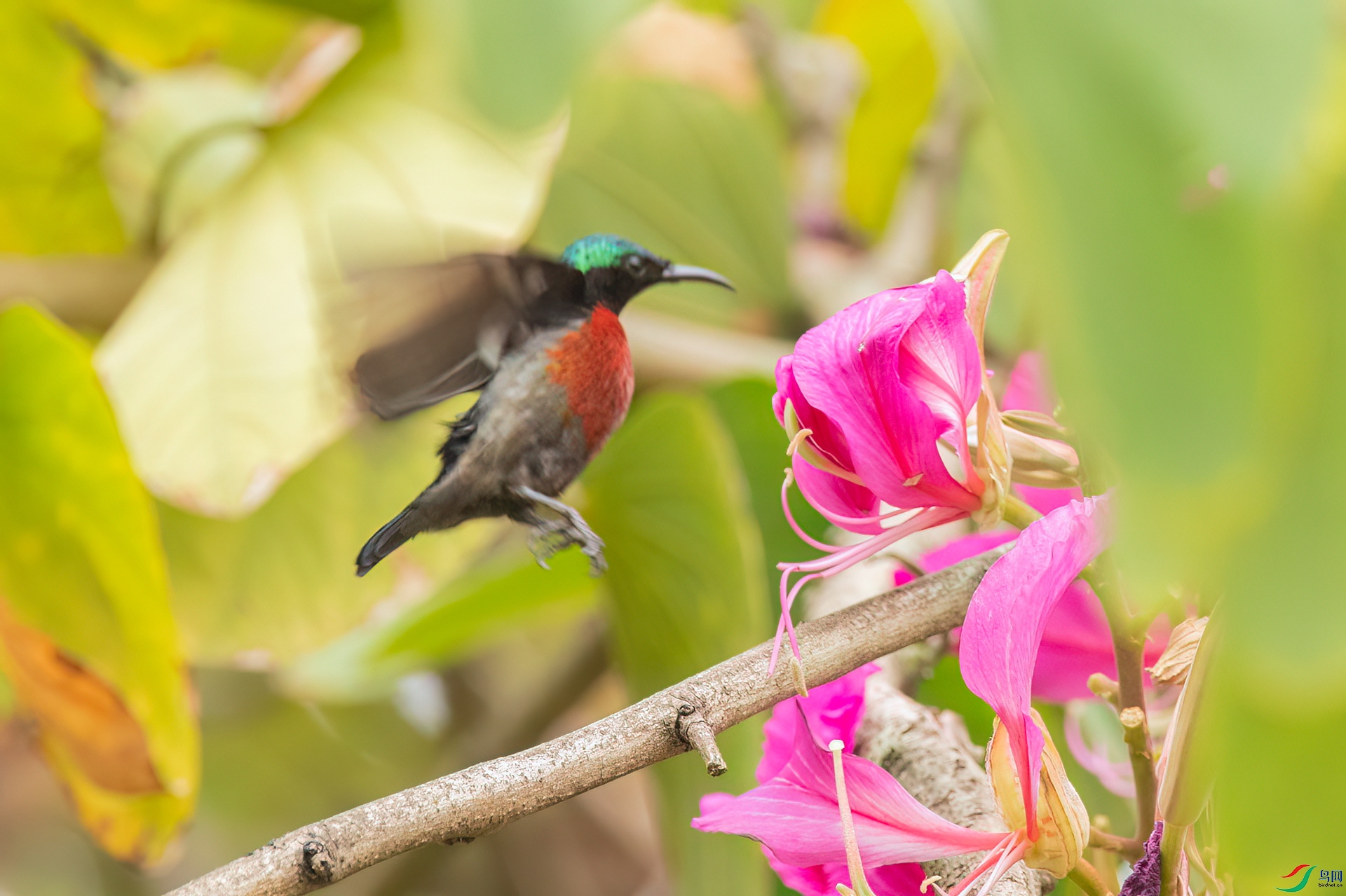 B86I8718 _����.jpg