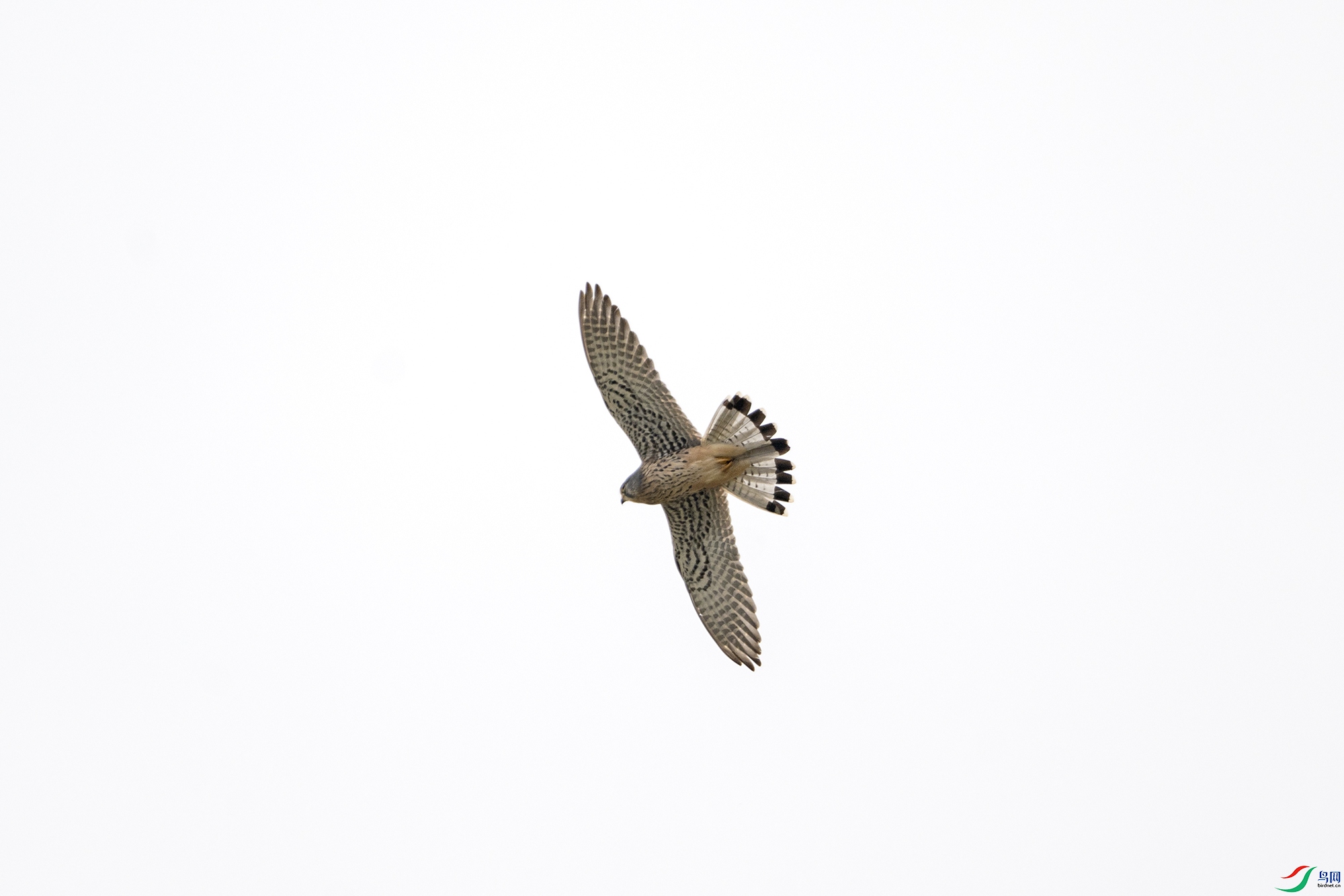 DSC_9394.jpg