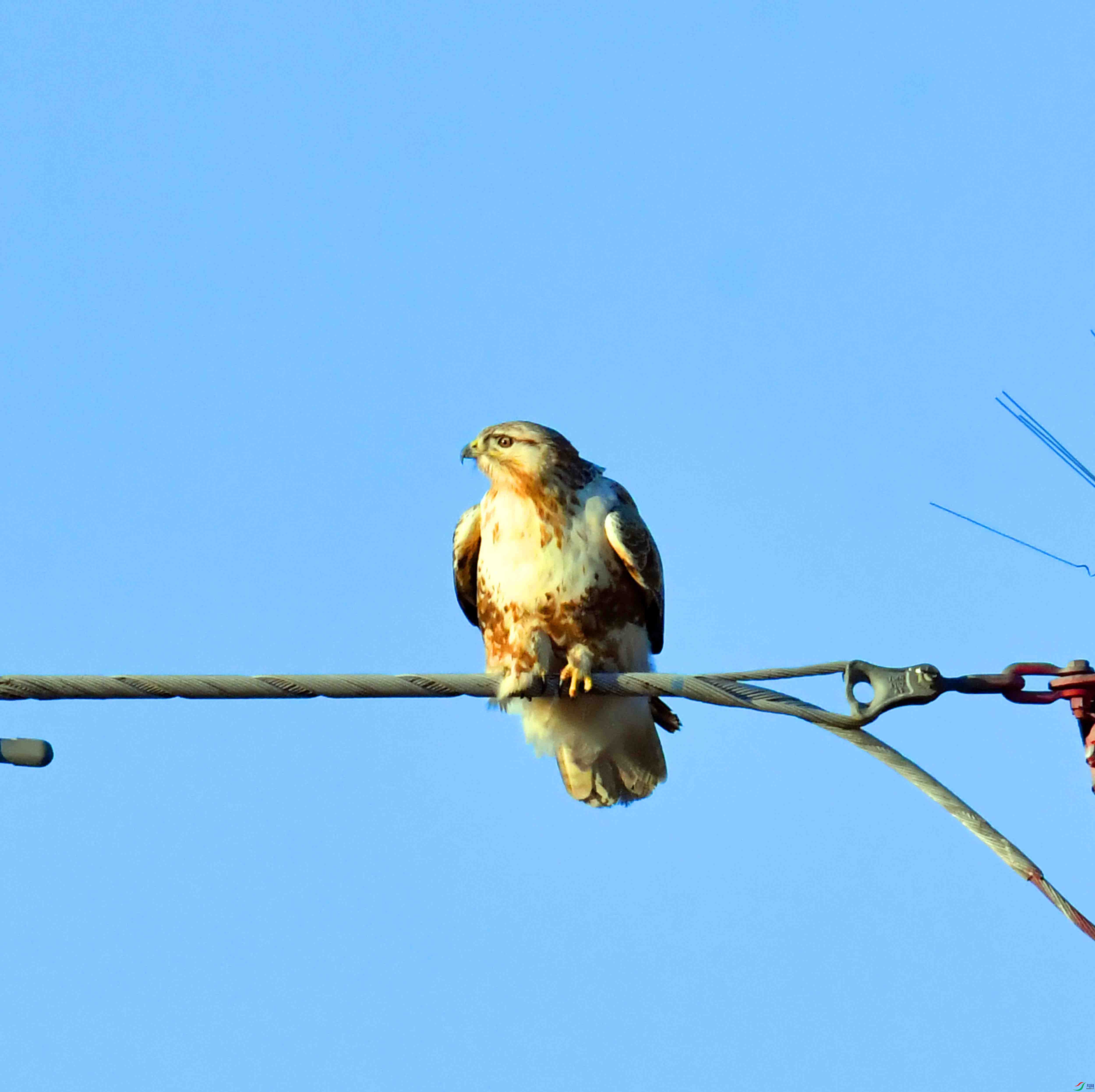 DSC_0226.JPG