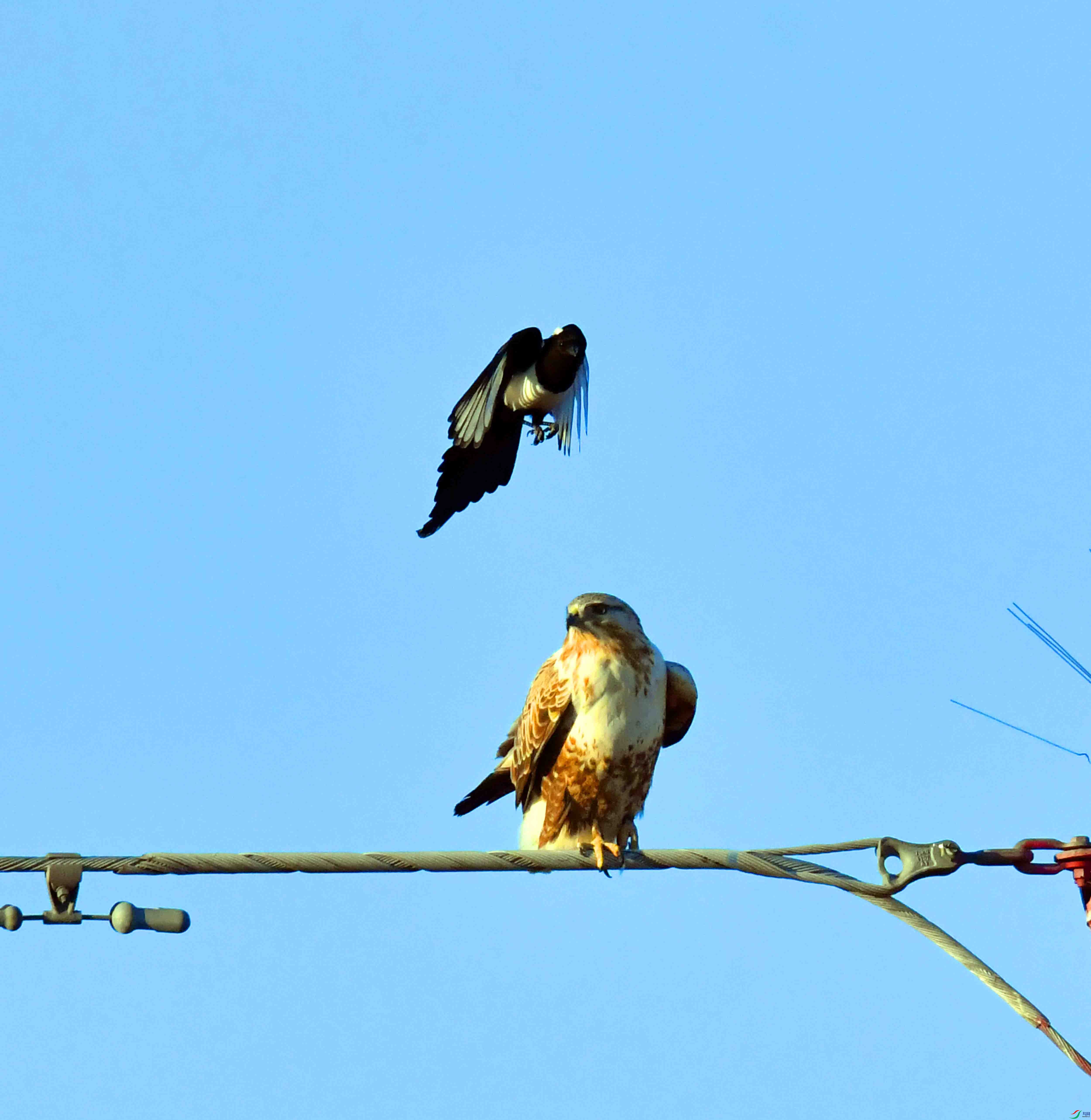 DSC_0274.JPG