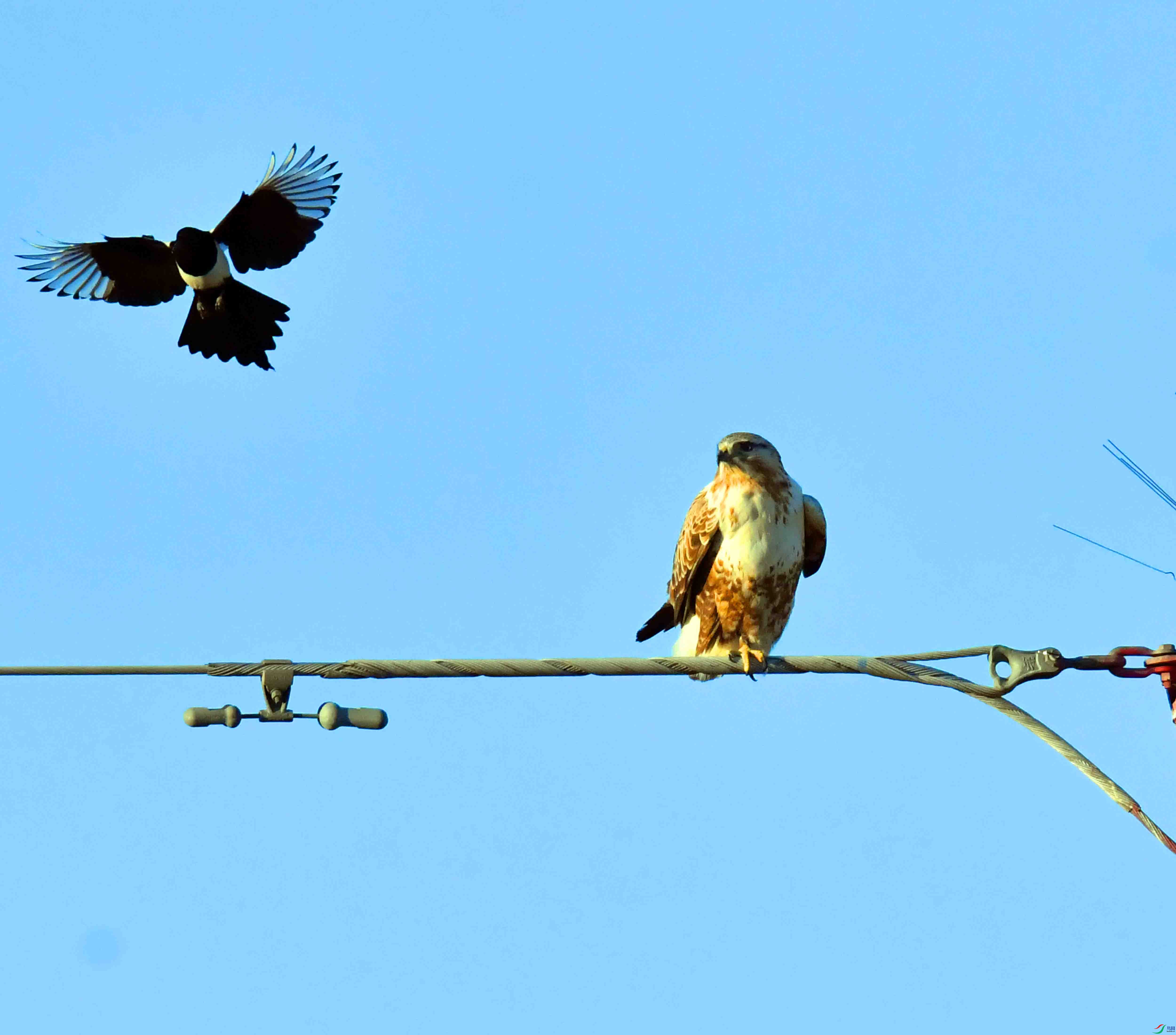 DSC_0277.JPG