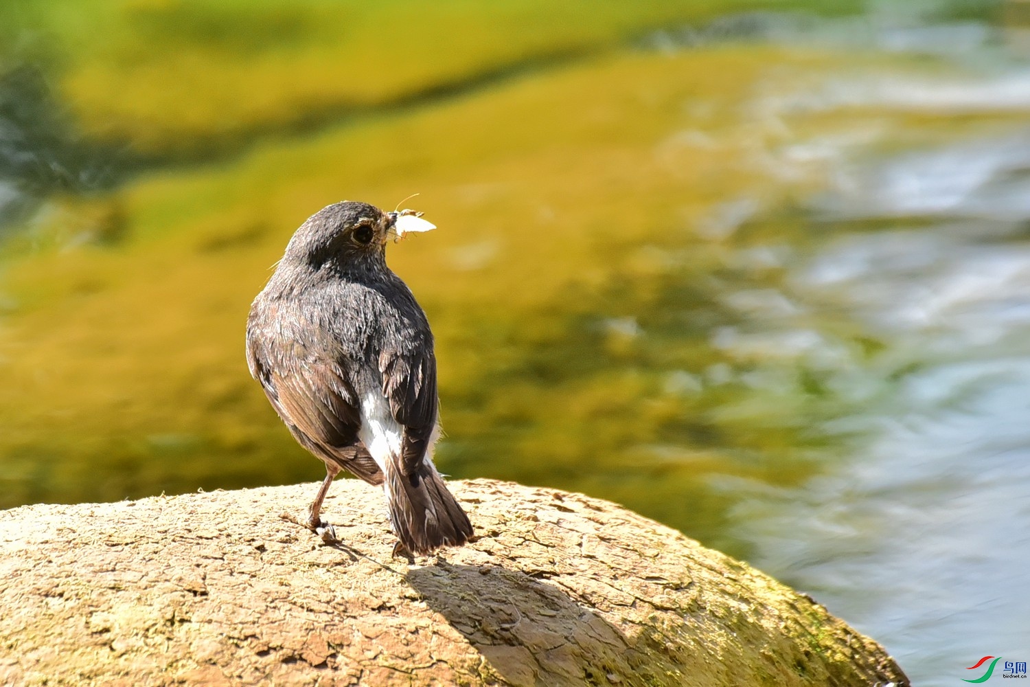 DSC_7521.JPG