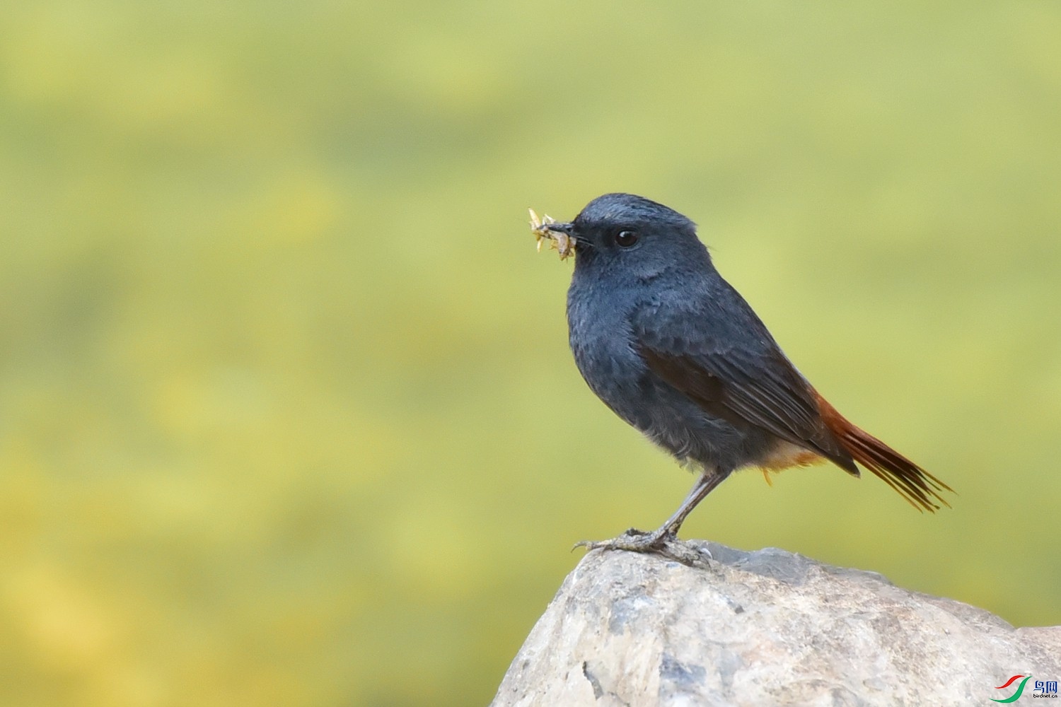 DSC_7451.JPG