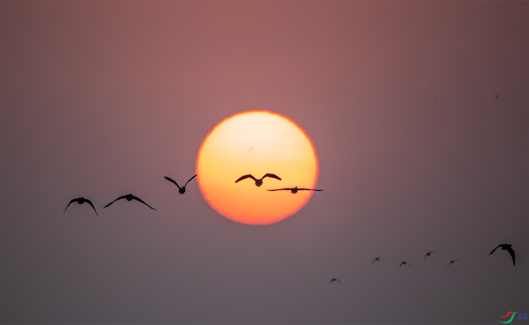 42����- ����.jpg