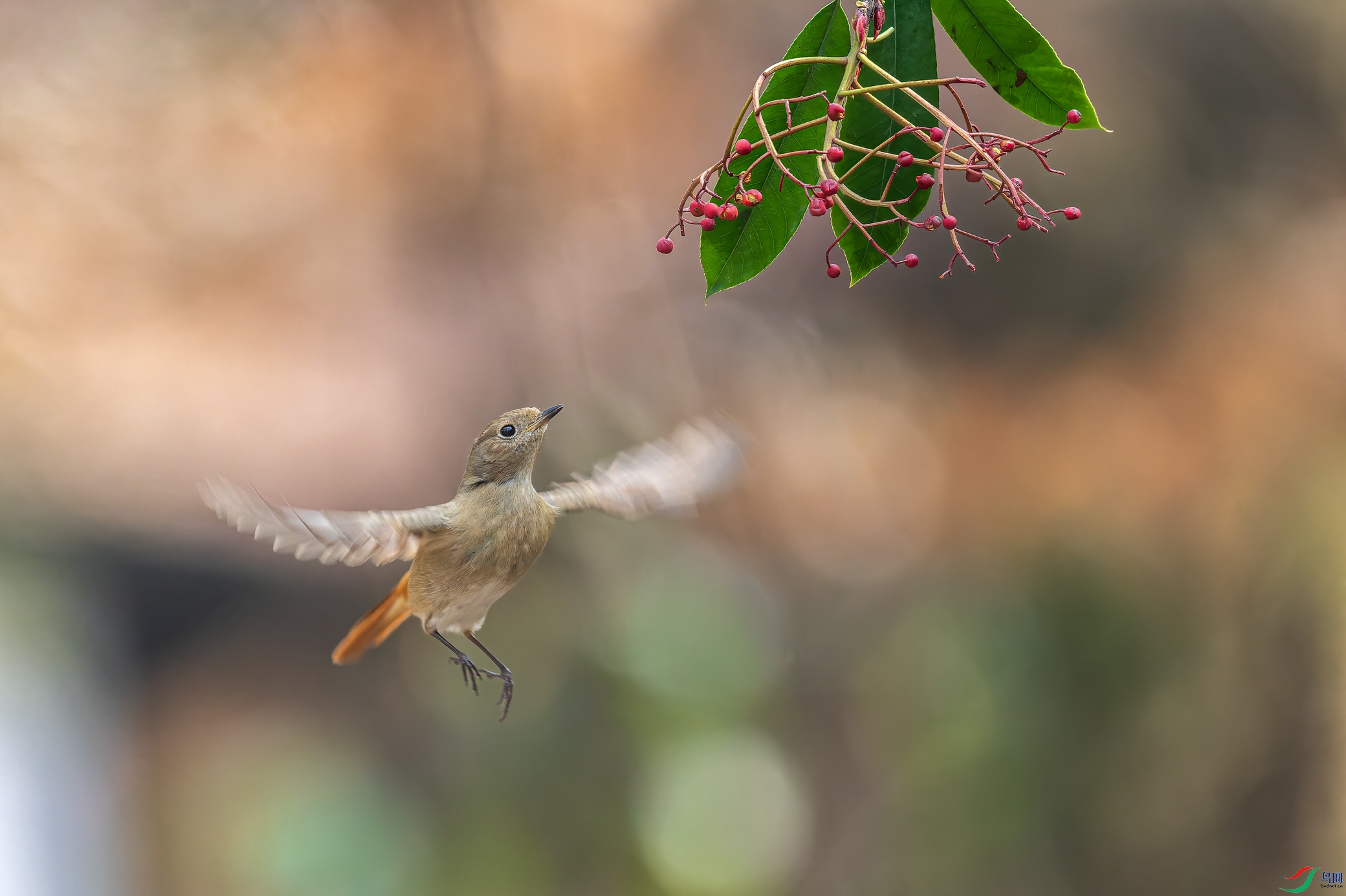 _DSC6350-NEF_DxO_DeepPRIME-1.jpg