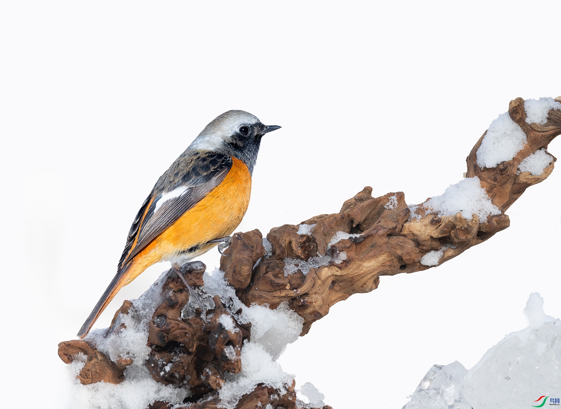 019A0412567 ����.jpg