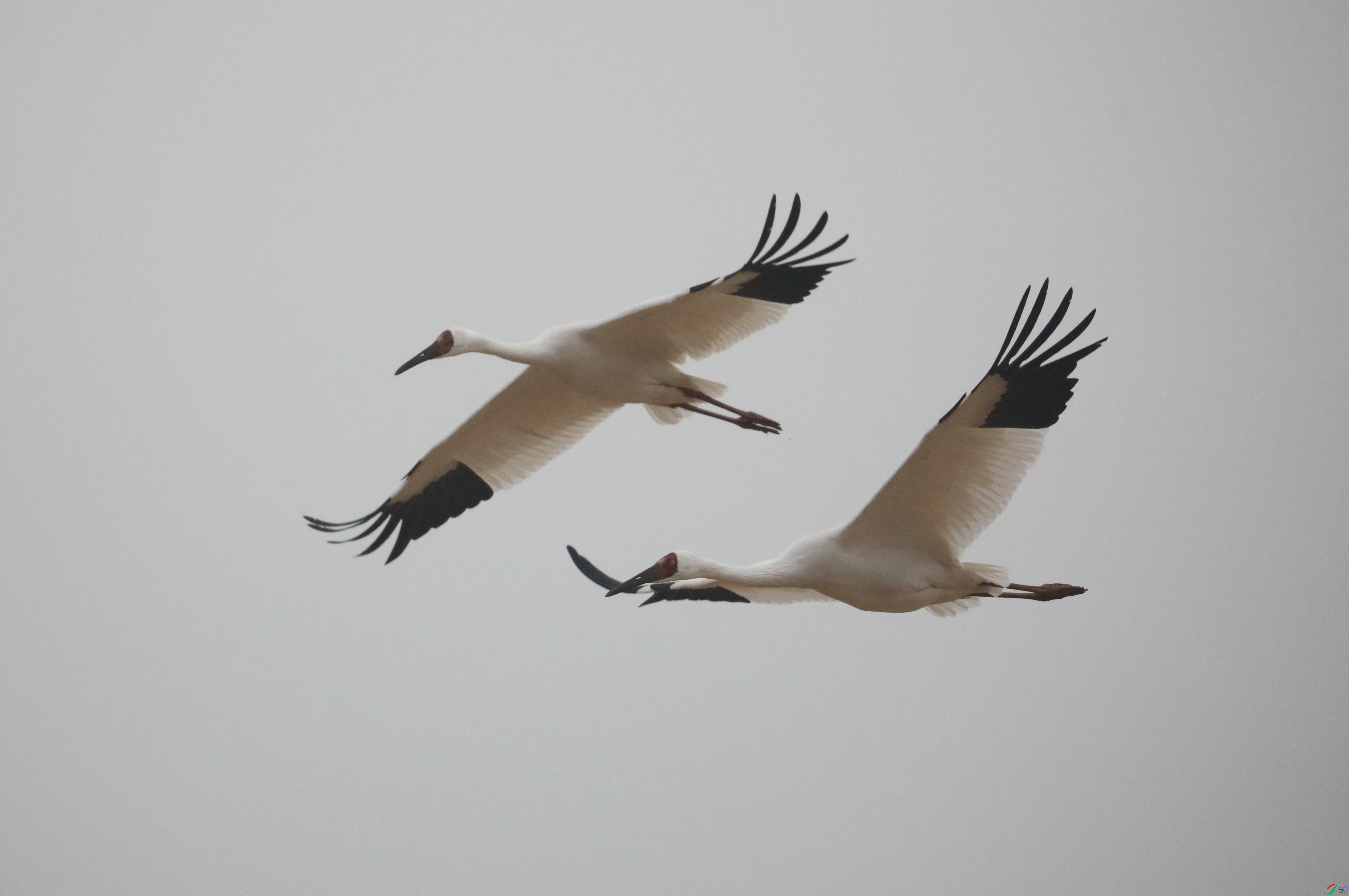 BL7A5506.JPG