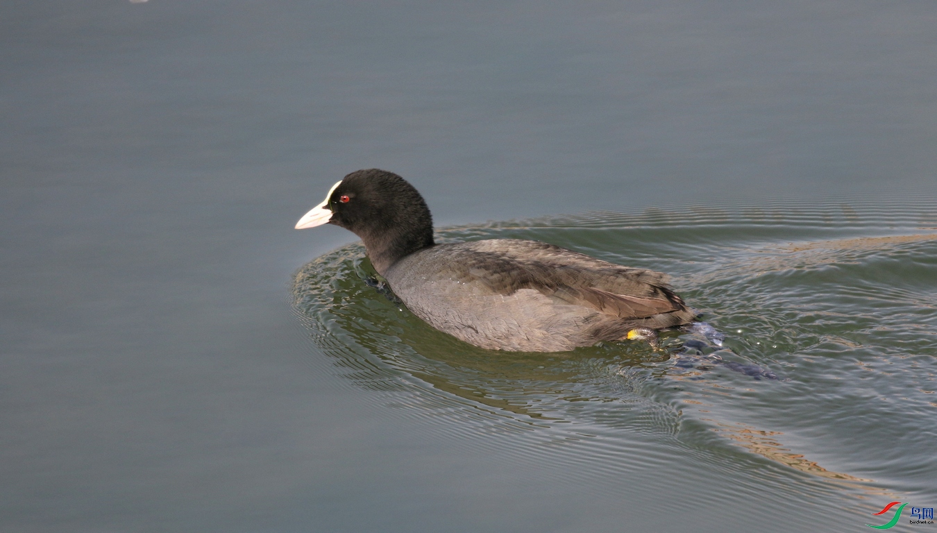 DSC20250214120.jpg