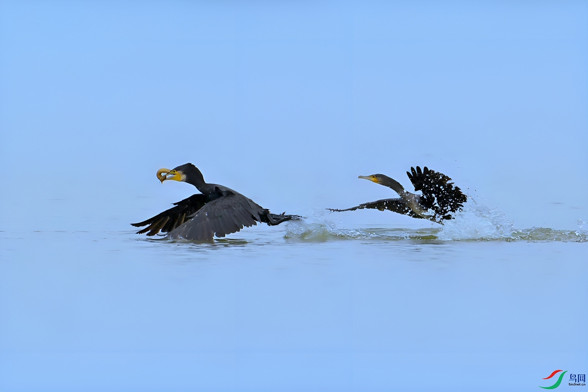 DSC_5765.jpg