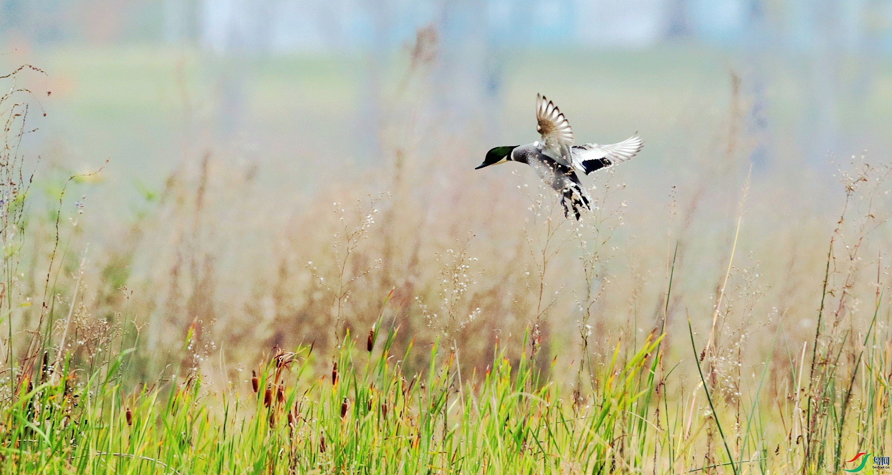 _E2I7978_����.jpg